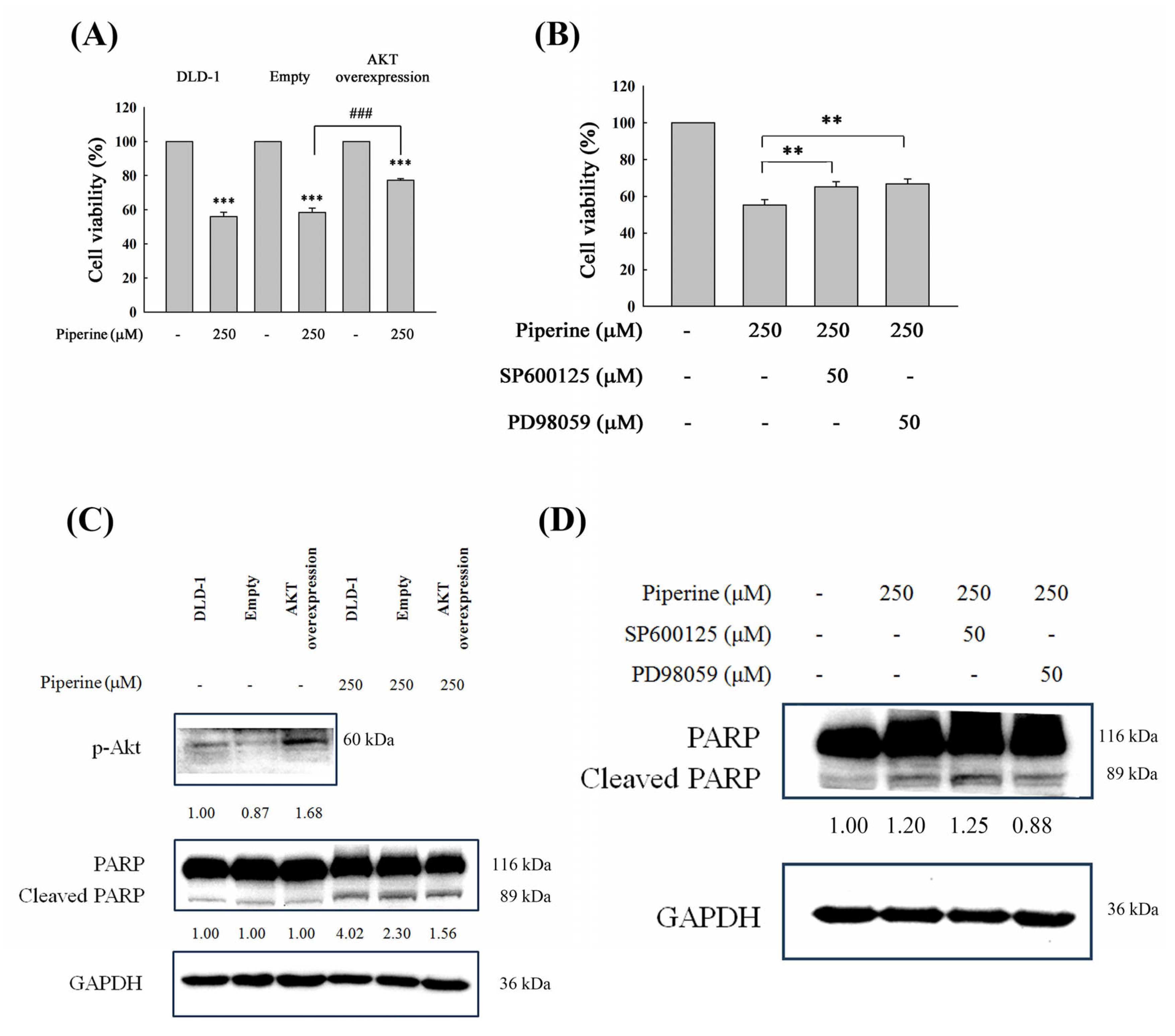 Antioxidants 14 00892 g007 Antioxidants 14 00892 g007