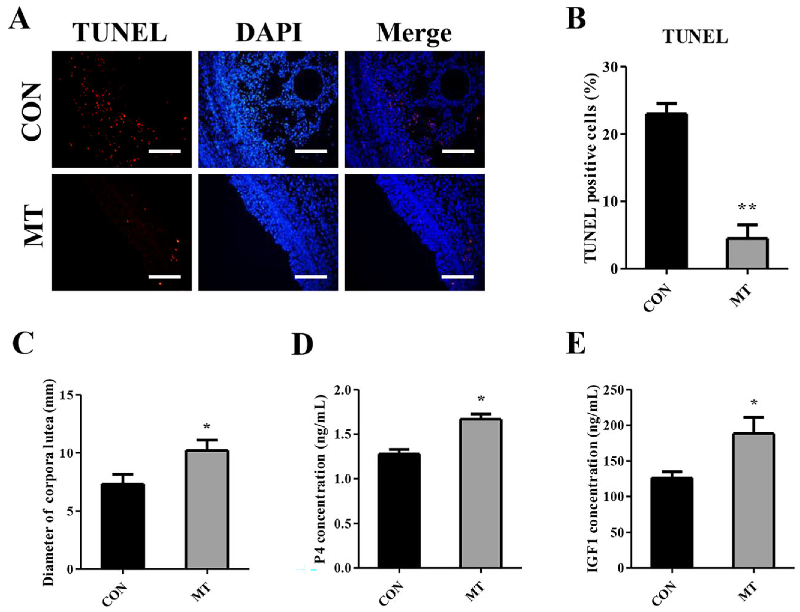 Antioxidants 14 00895 g004