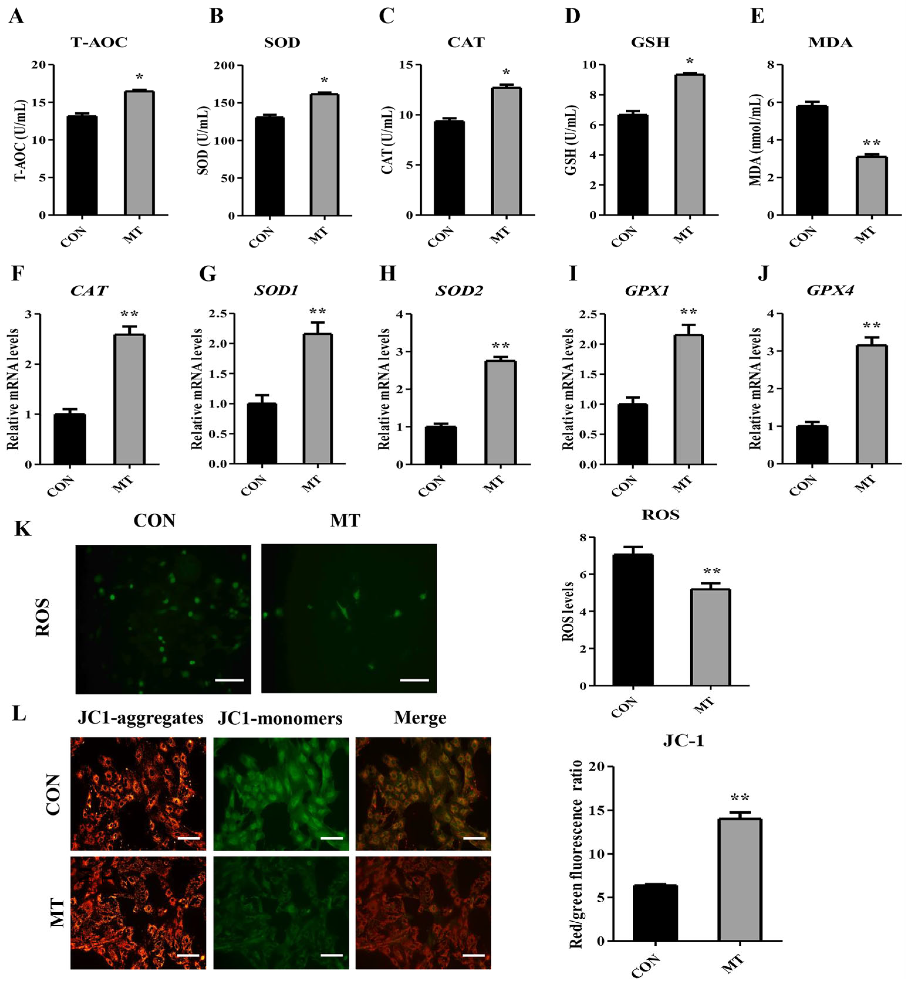 Antioxidants 14 00895 g008