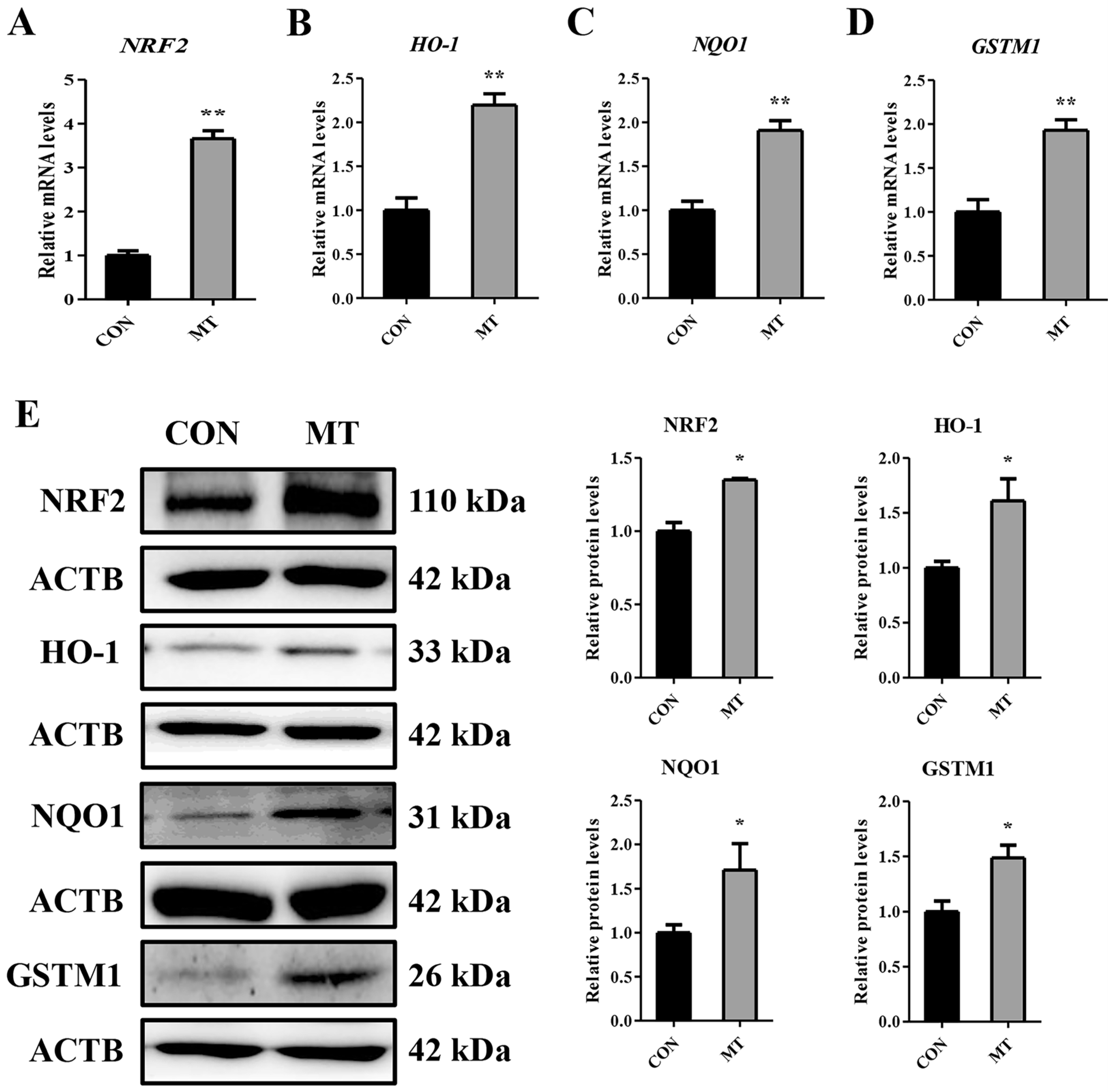 Antioxidants 14 00895 g009