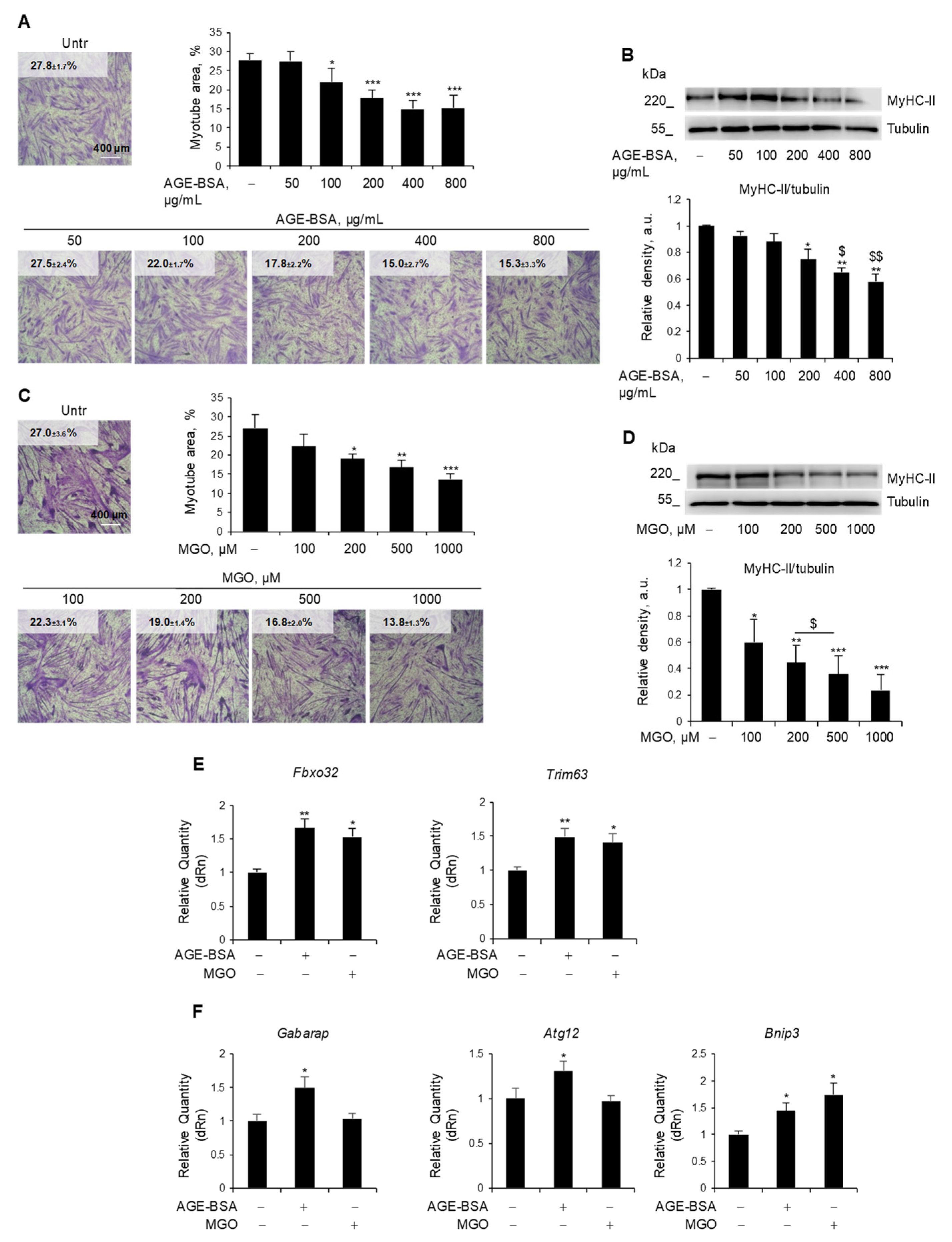 Antioxidants 14 00900 g001