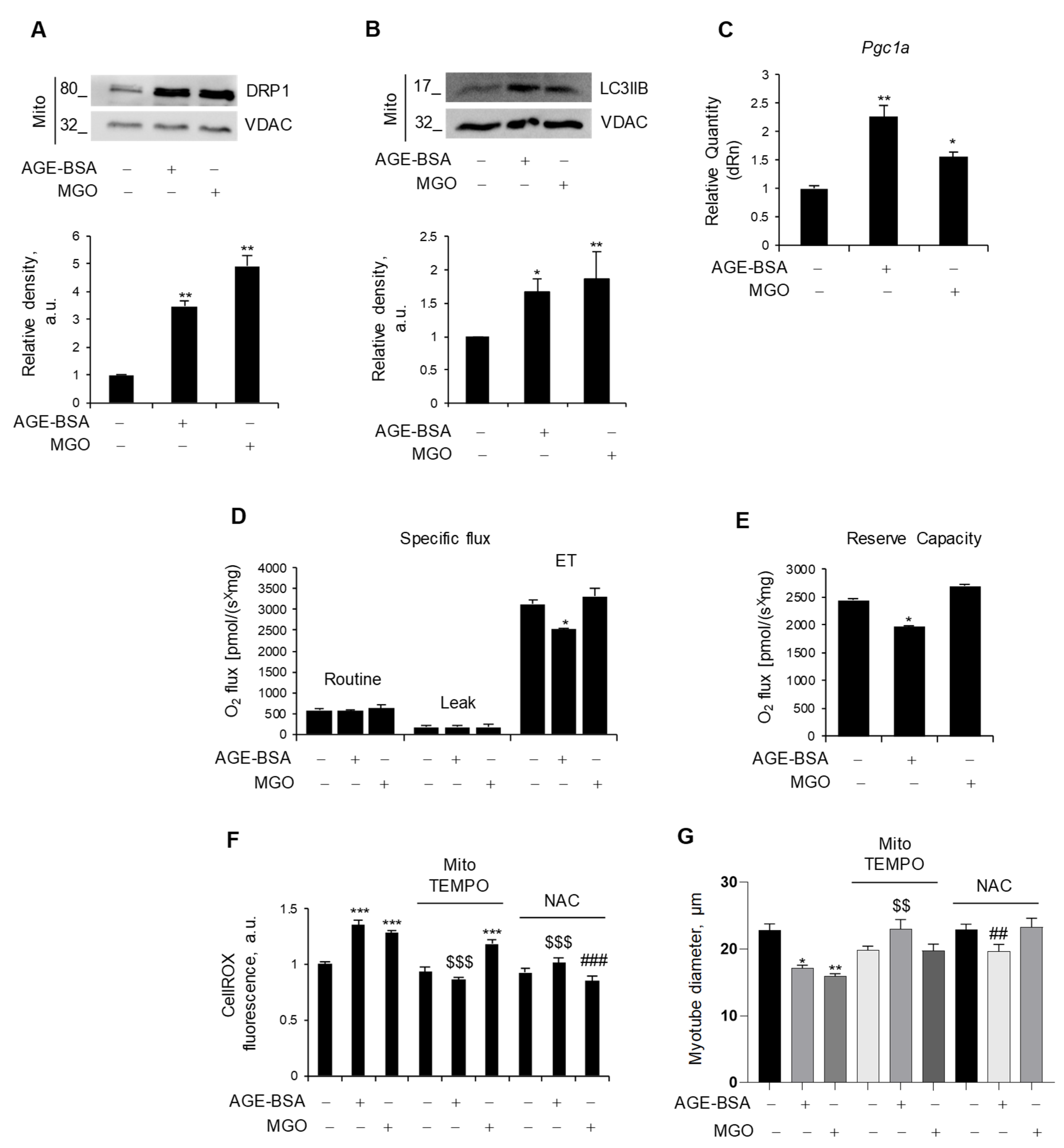 Antioxidants 14 00900 g002