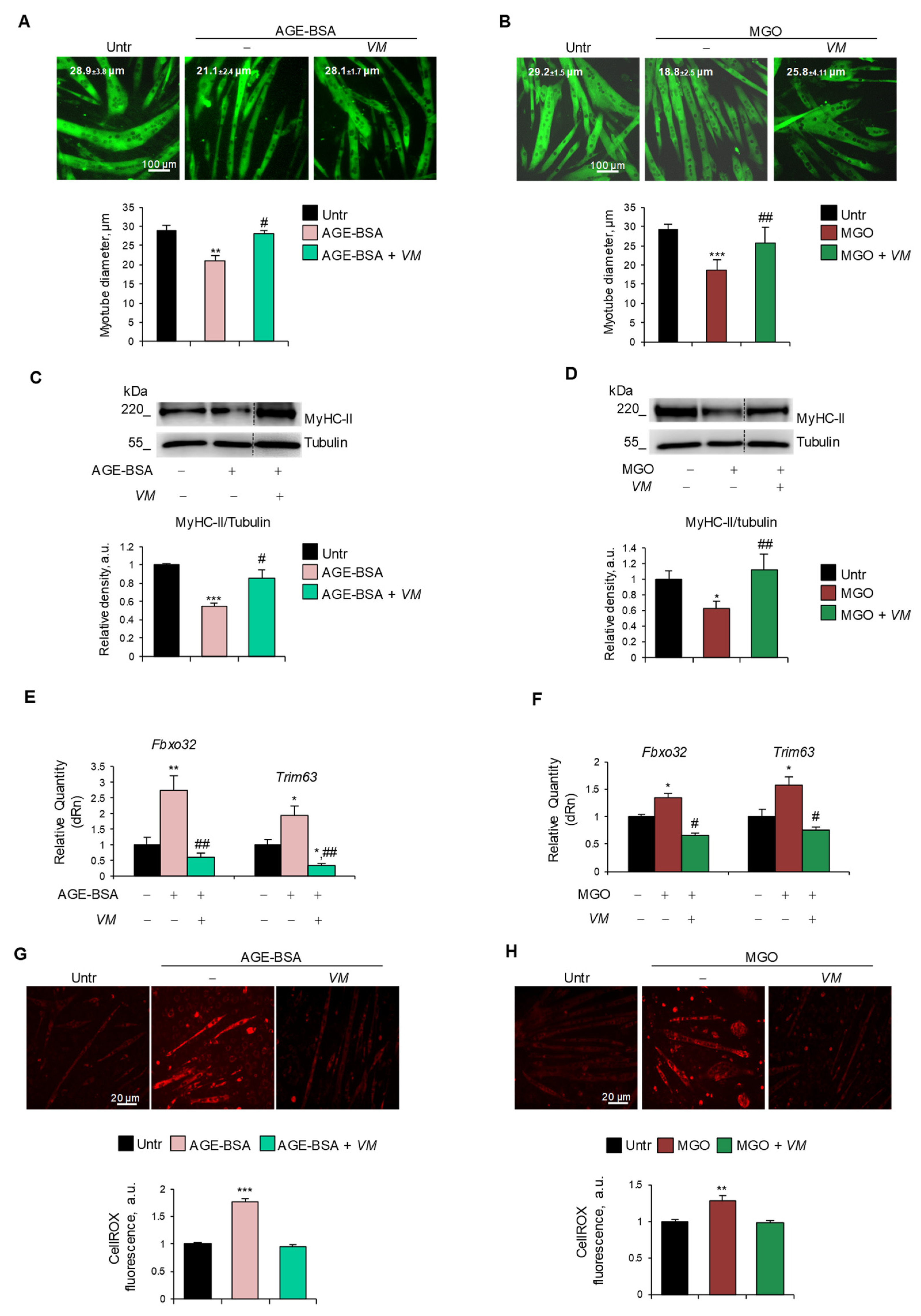 Antioxidants 14 00900 g004