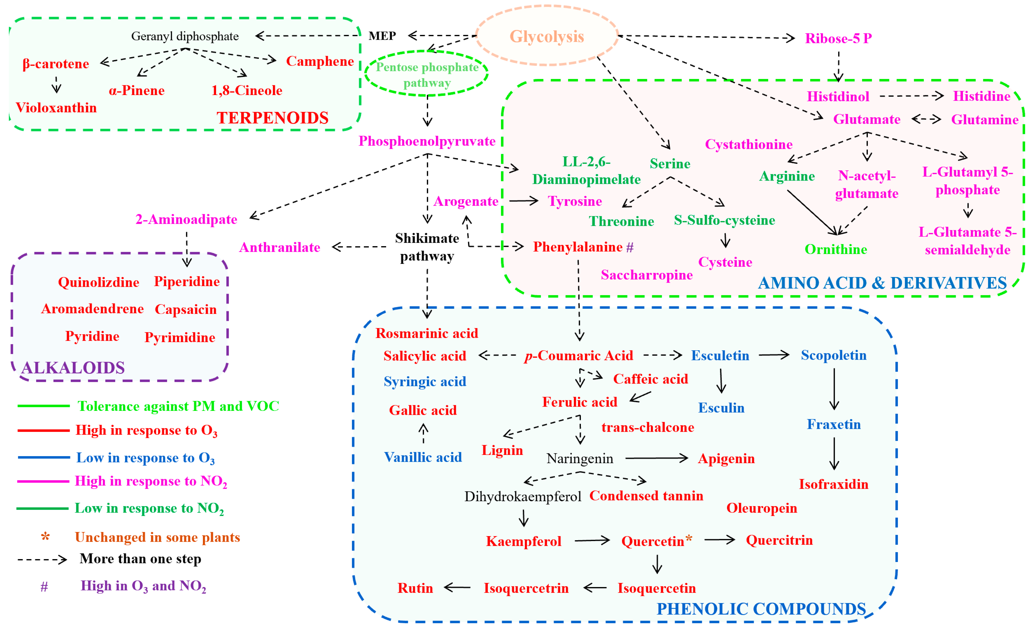 Antioxidants 14 00907 g004