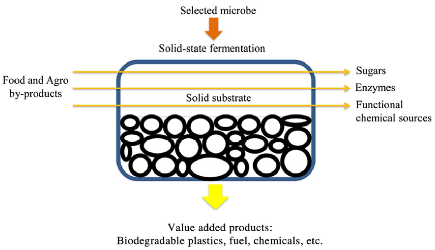 Antioxidants 14 00910 g001