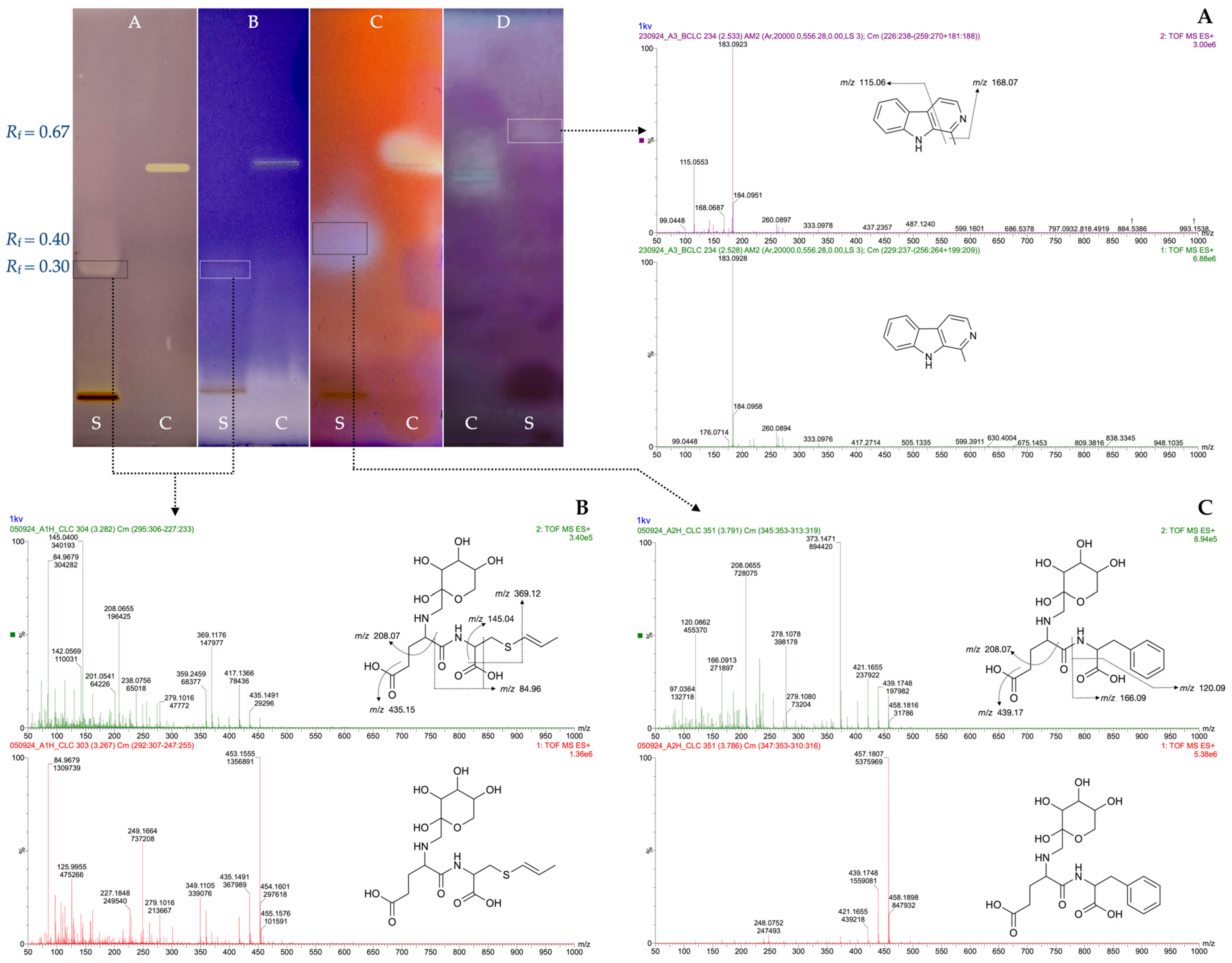 Antioxidants 14 00913 g002