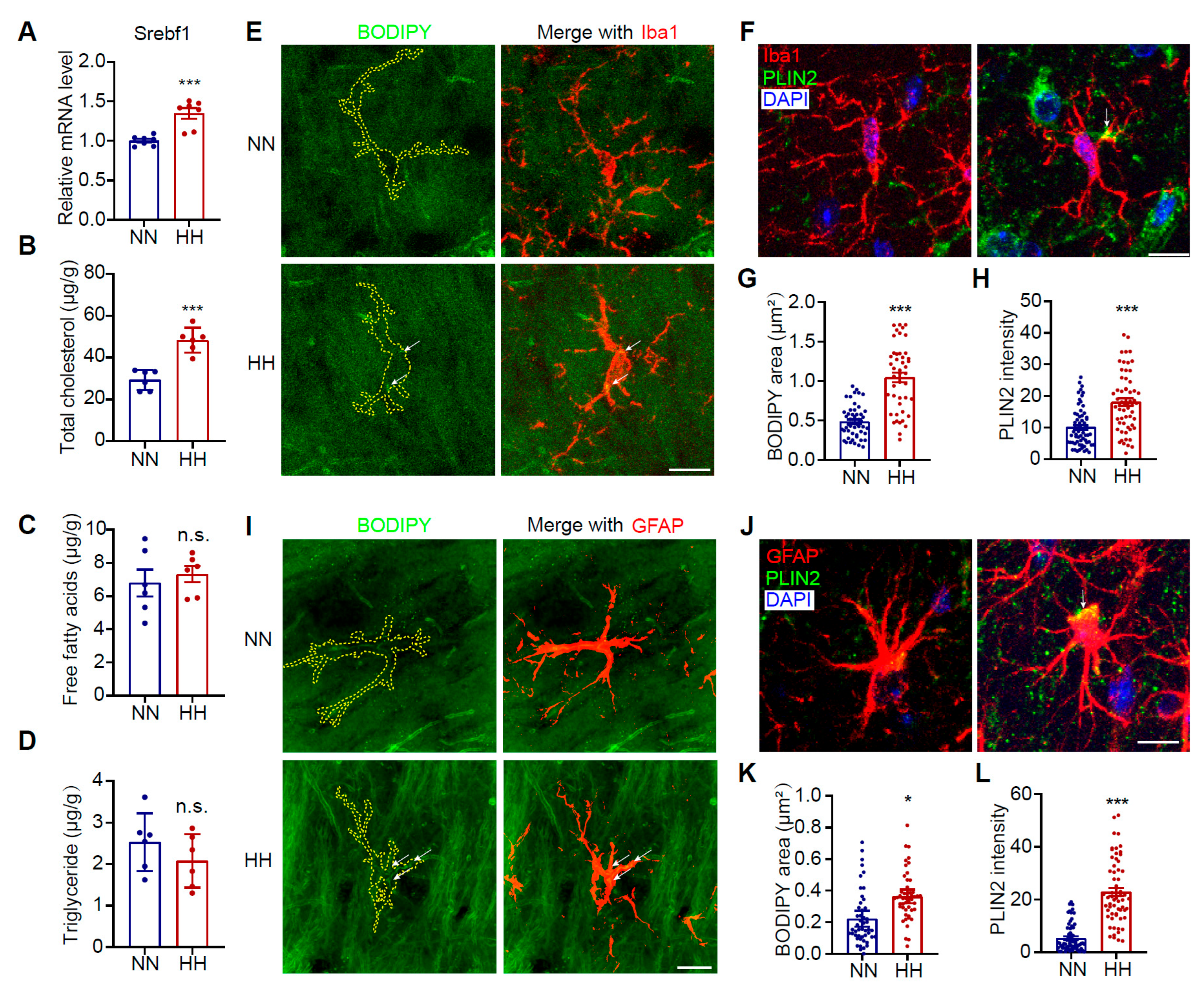 Antioxidants 14 00918 g002 Antioxidants 14 00918 g002