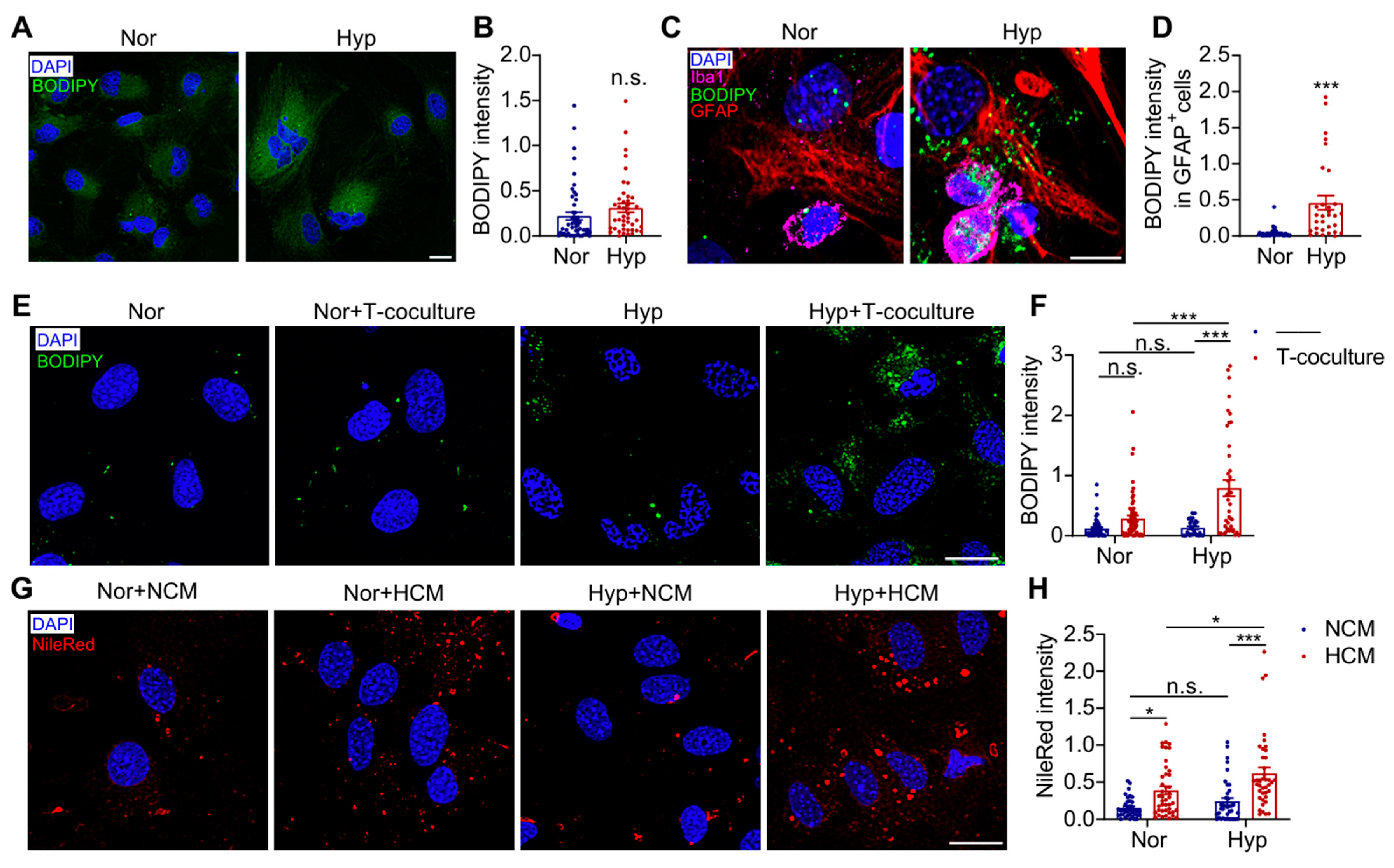 Antioxidants 14 00918 g004 Antioxidants 14 00918 g004