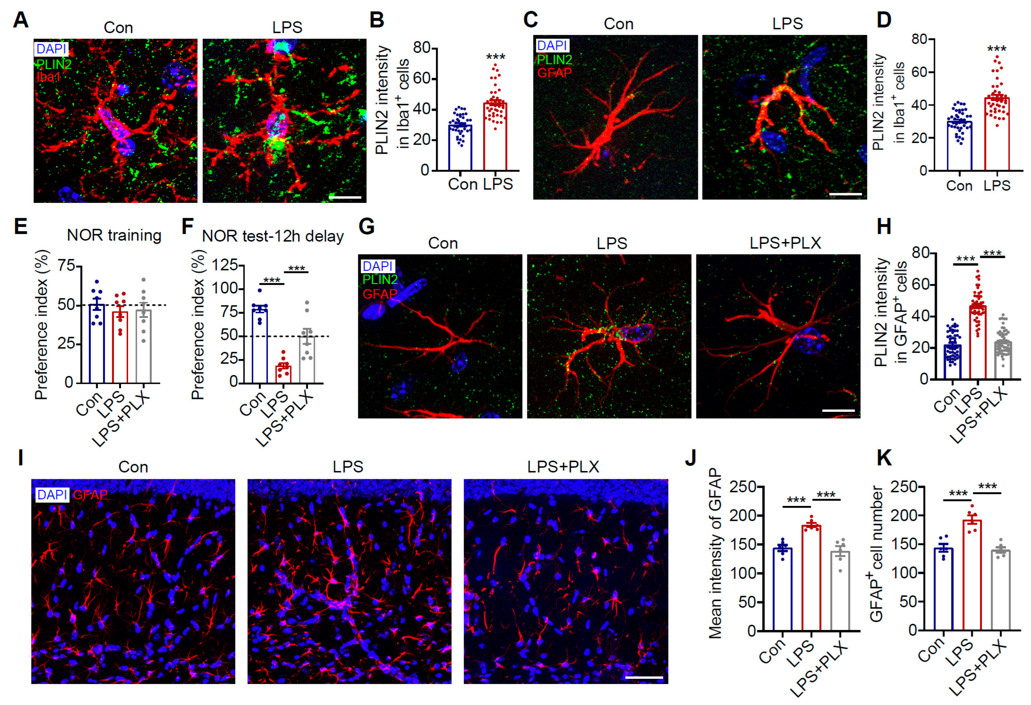 Antioxidants 14 00918 g006 Antioxidants 14 00918 g006