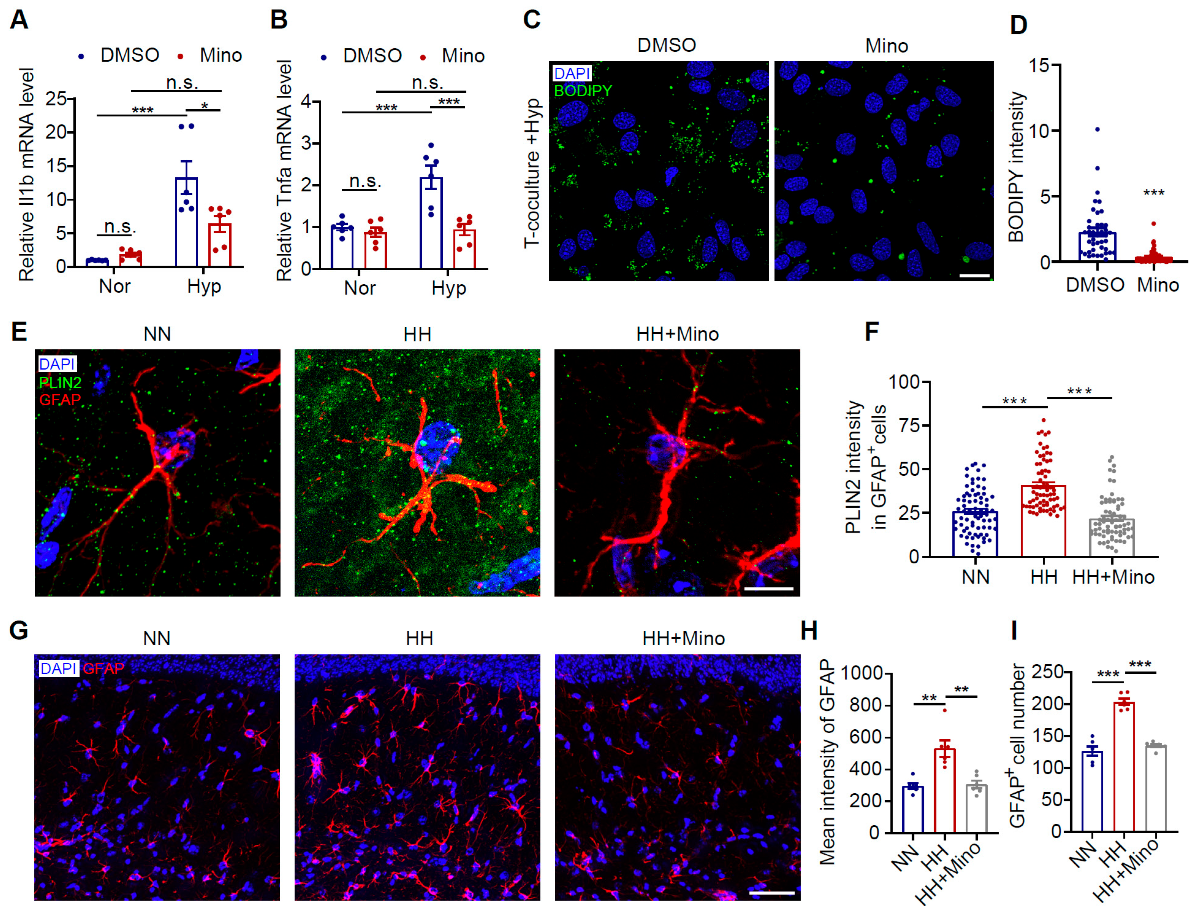 Antioxidants 14 00918 g007 Antioxidants 14 00918 g007