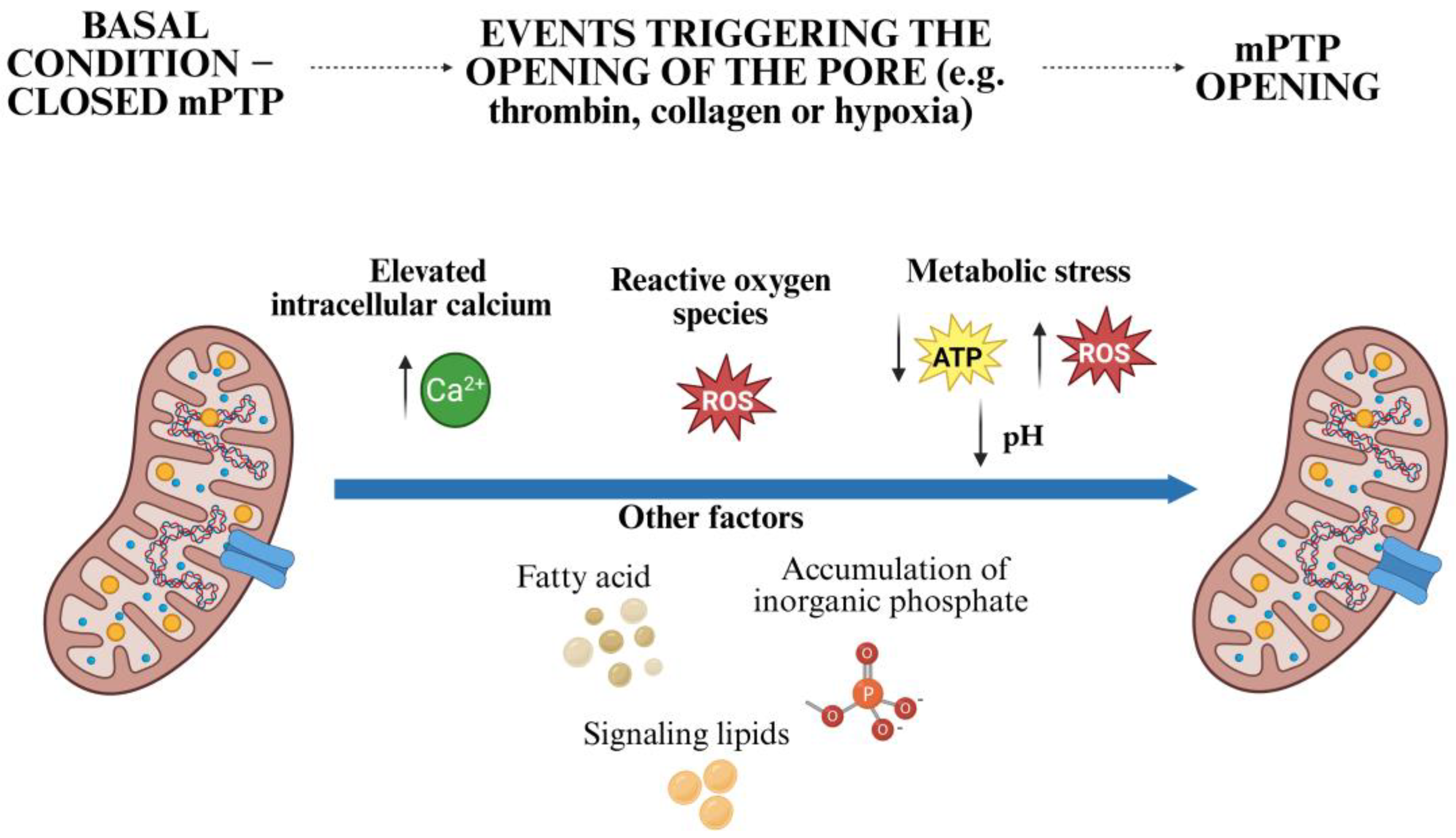 Antioxidants 14 00923 g003