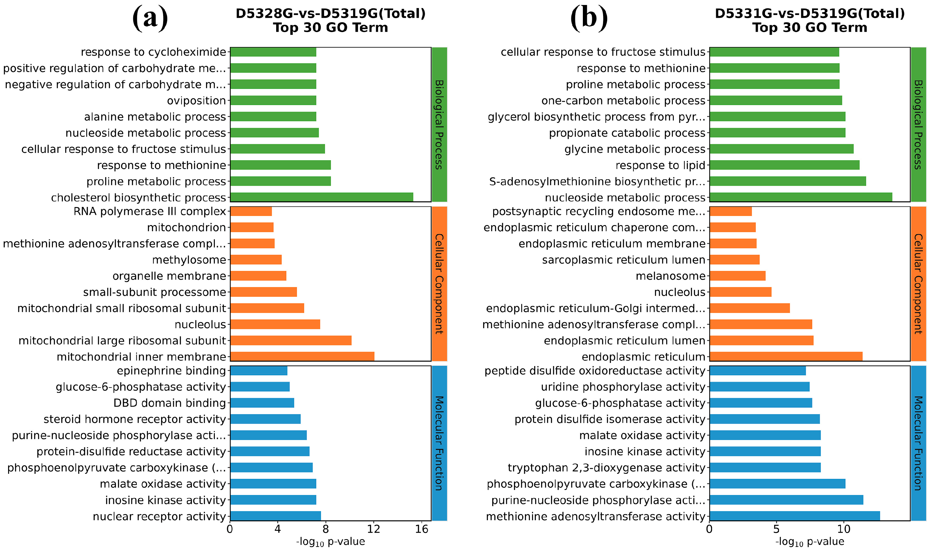 Antioxidants 14 00926 g010