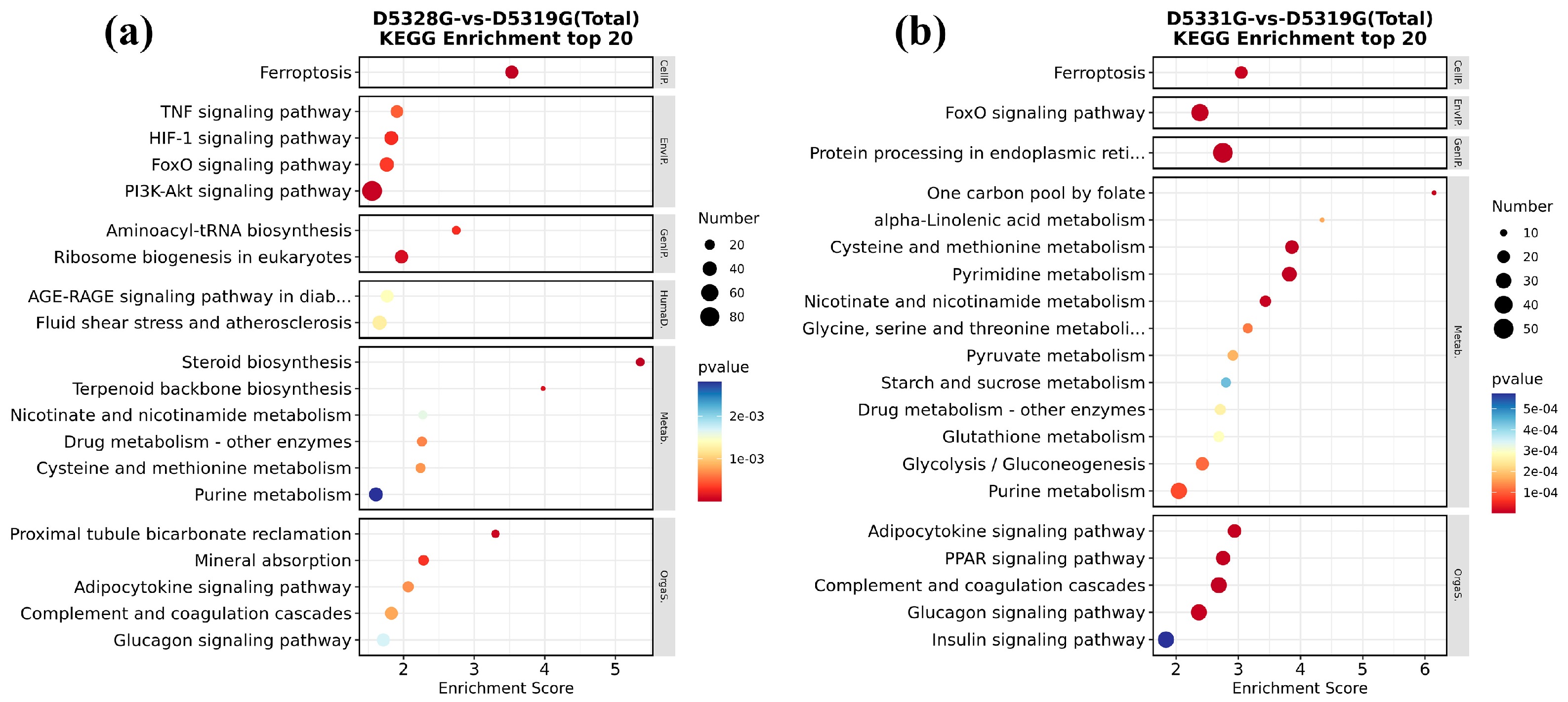 Antioxidants 14 00926 g012