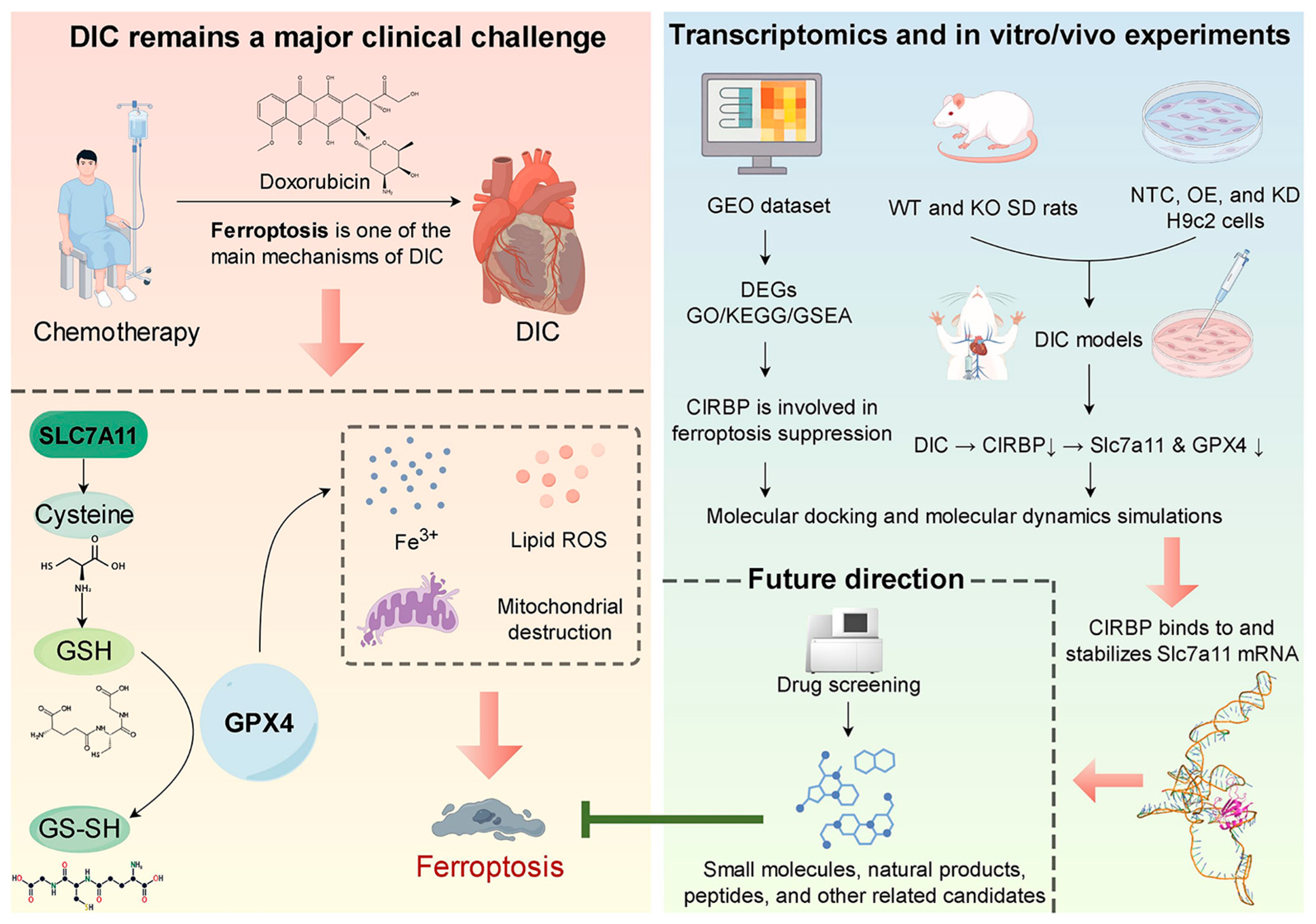 Antioxidants 14 00930 g001