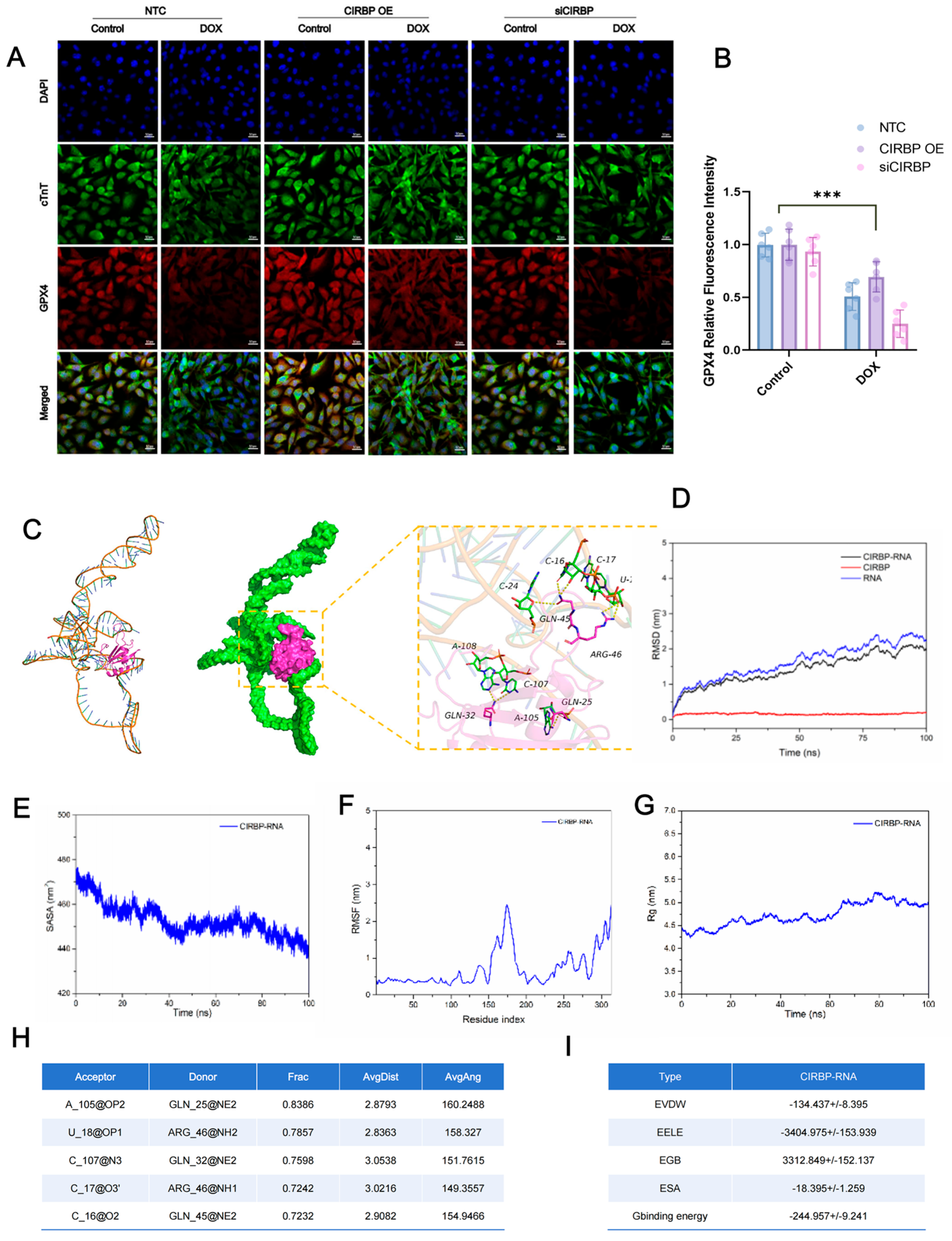 Antioxidants 14 00930 g008