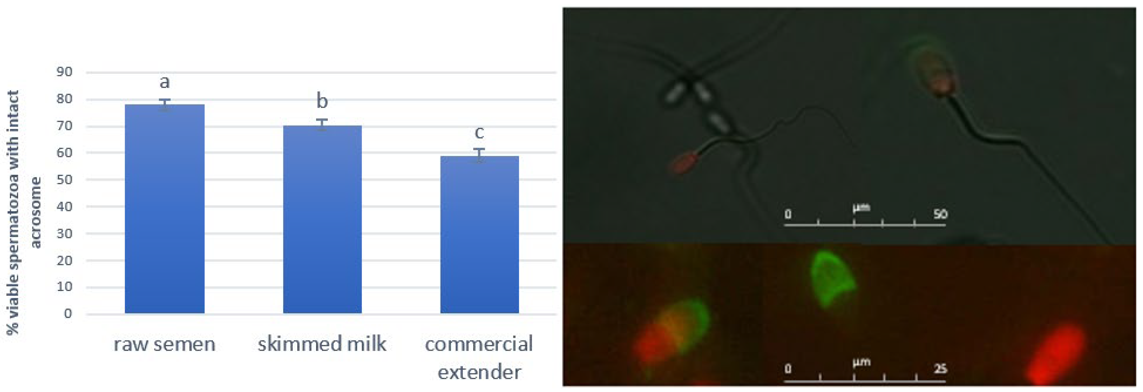 Antioxidants 14 00932 g001
