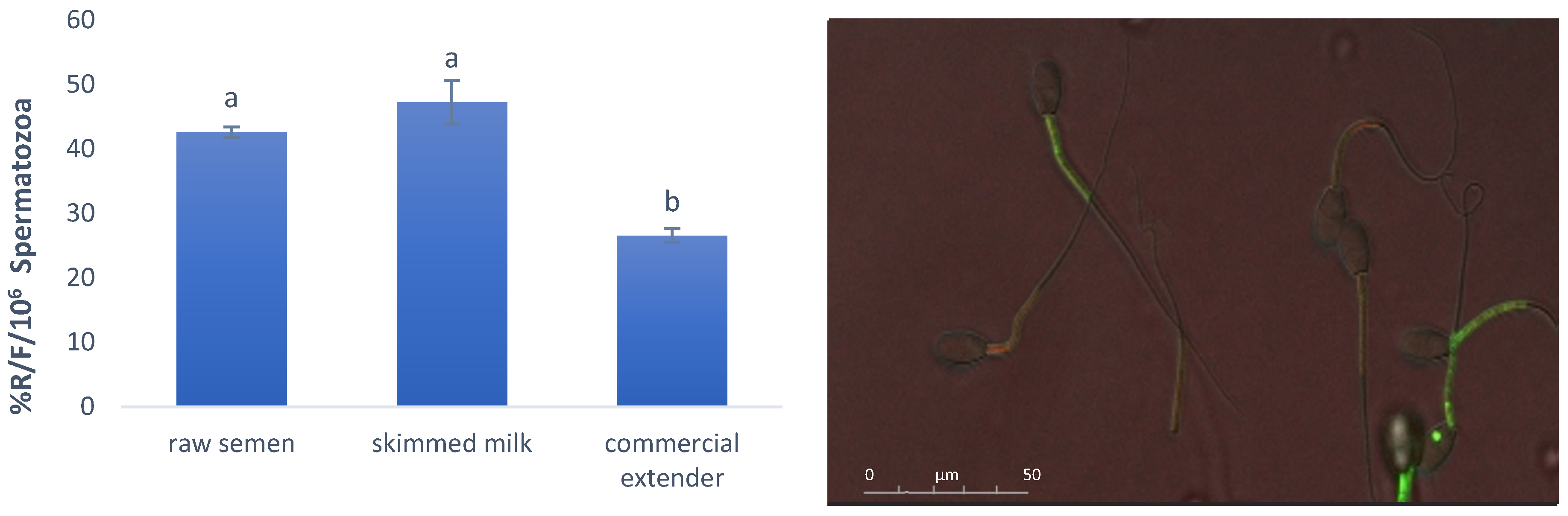 Antioxidants 14 00932 g002