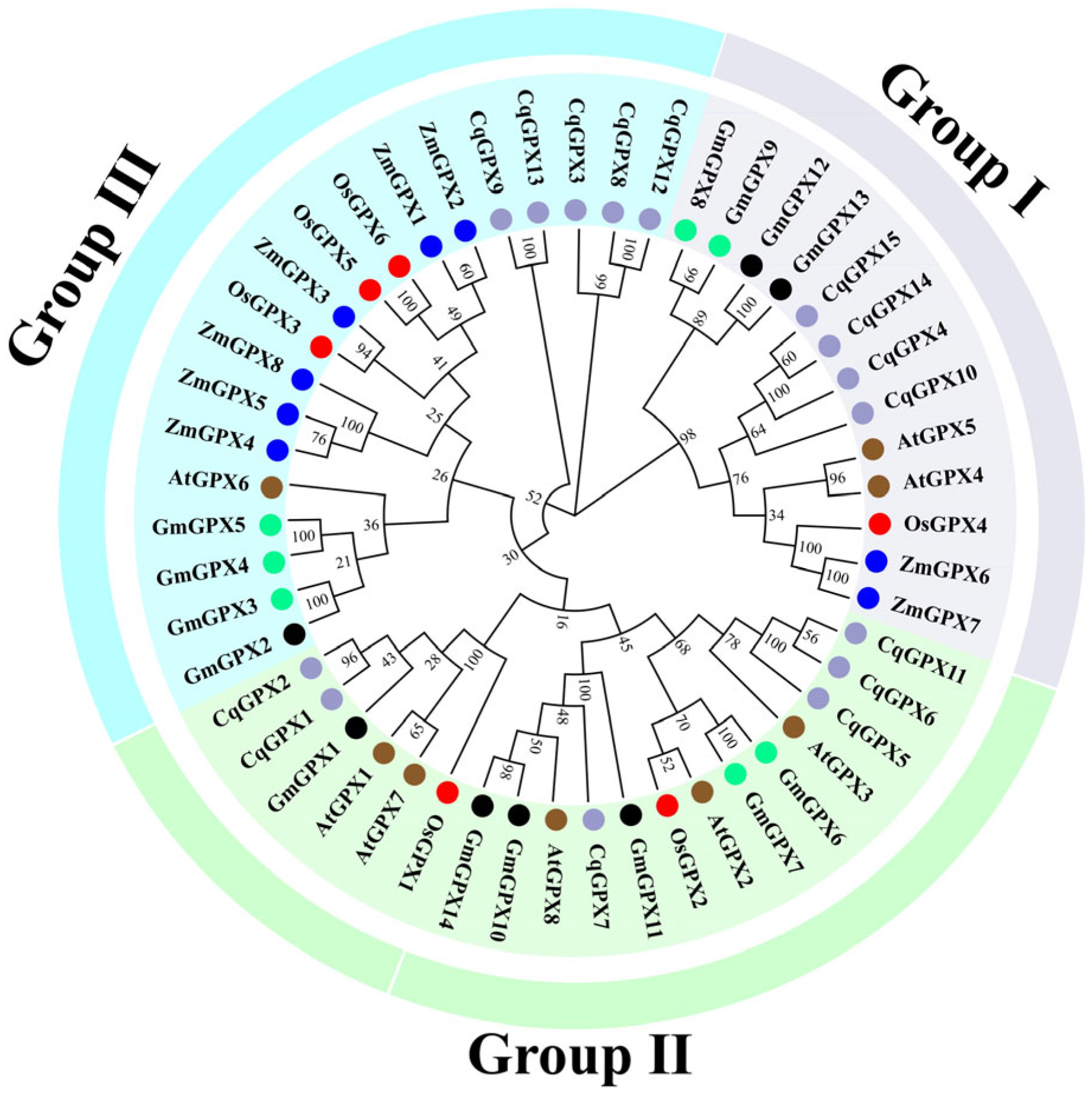 Antioxidants 14 00940 g001
