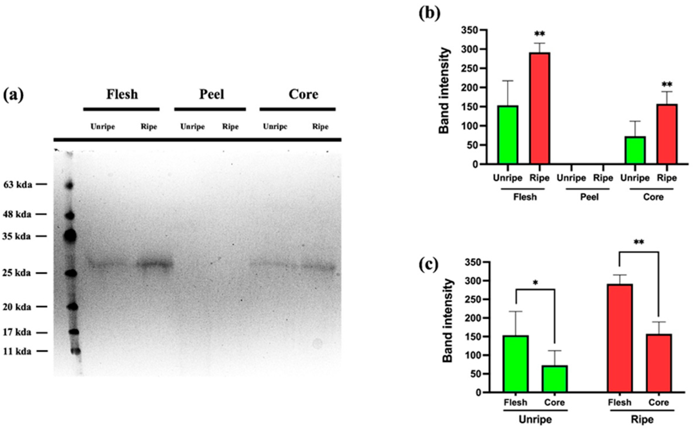Antioxidants 14 00941 g008