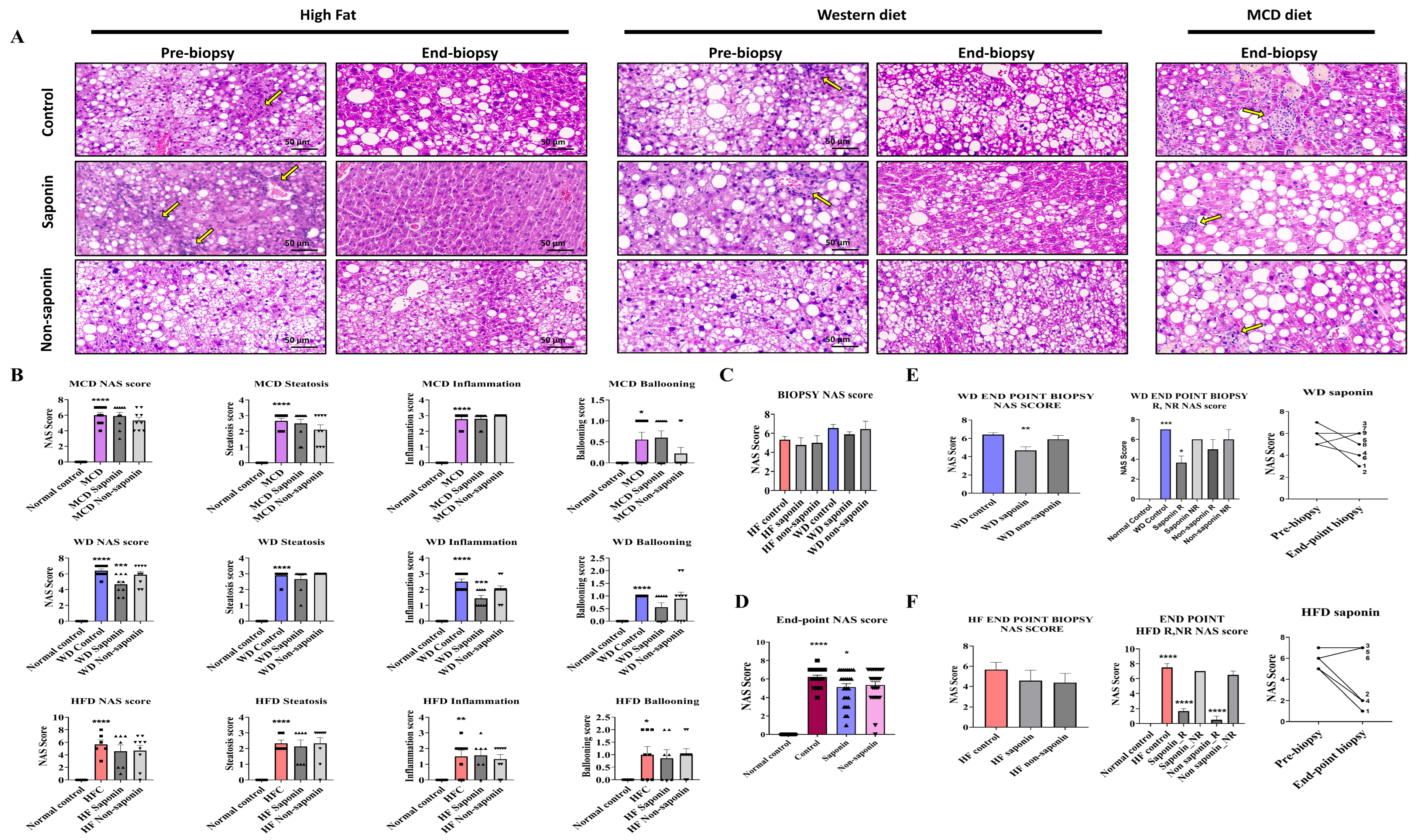 Antioxidants 14 00943 g002