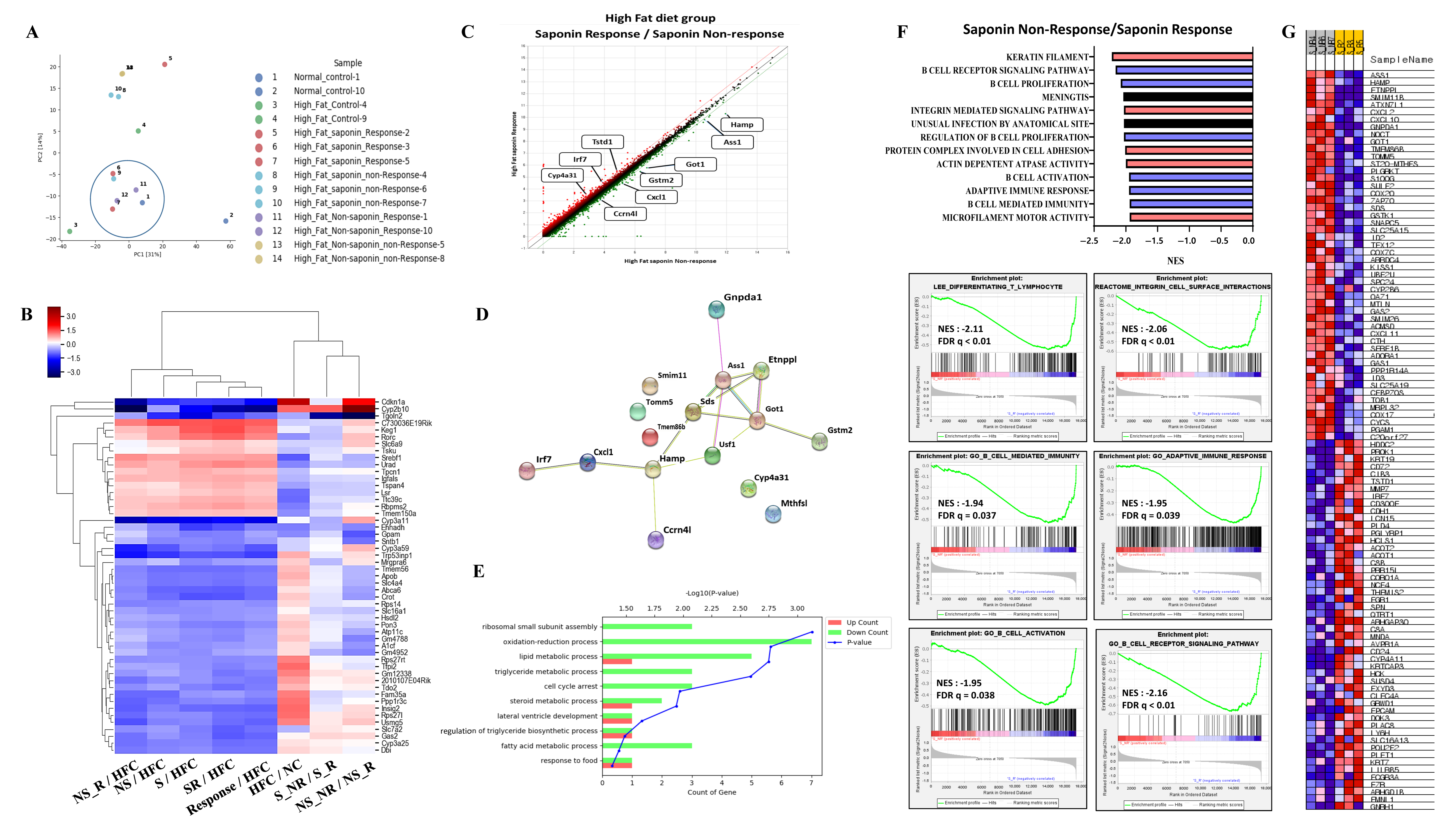 Antioxidants 14 00943 g004