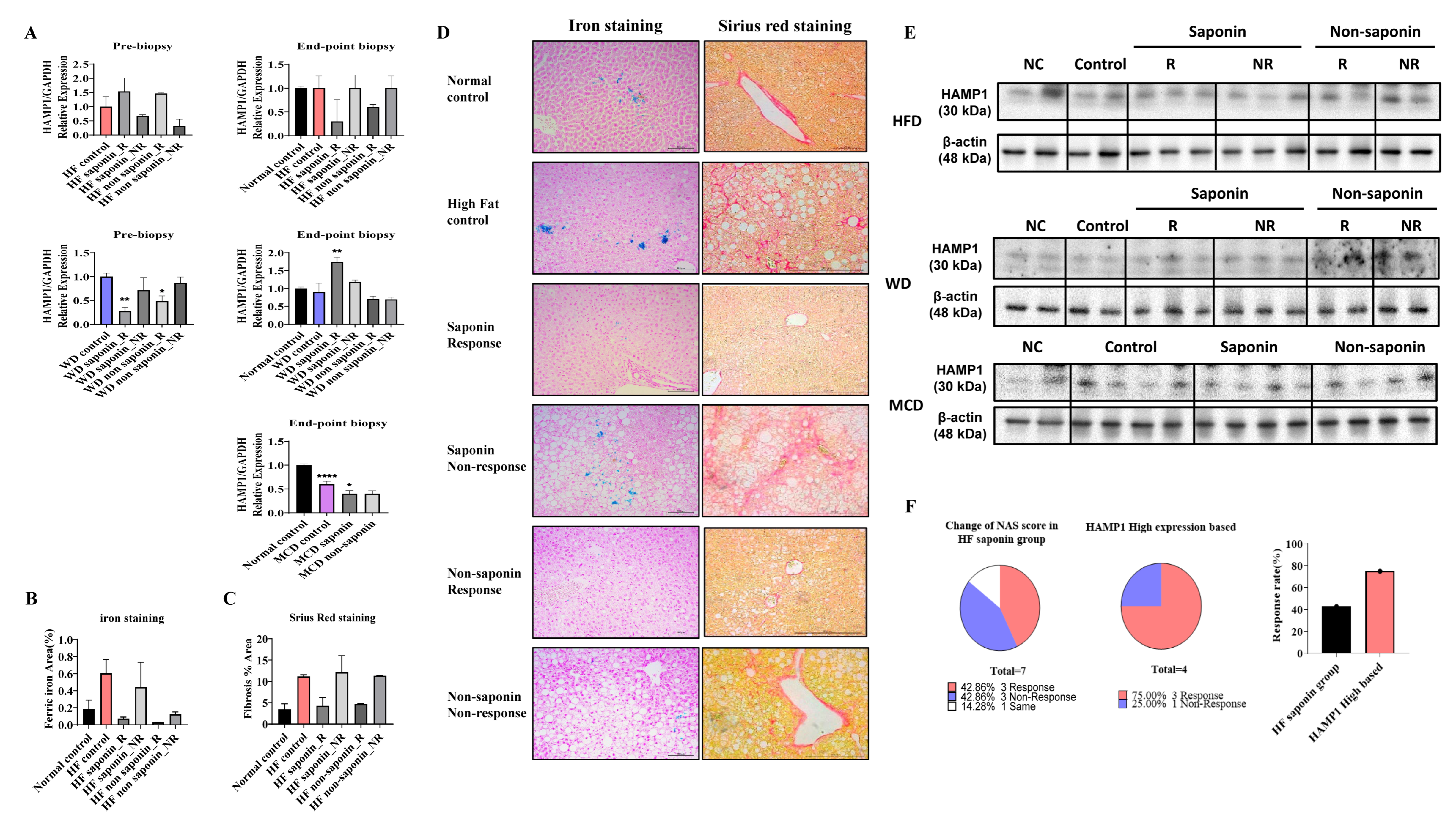 Antioxidants 14 00943 g005