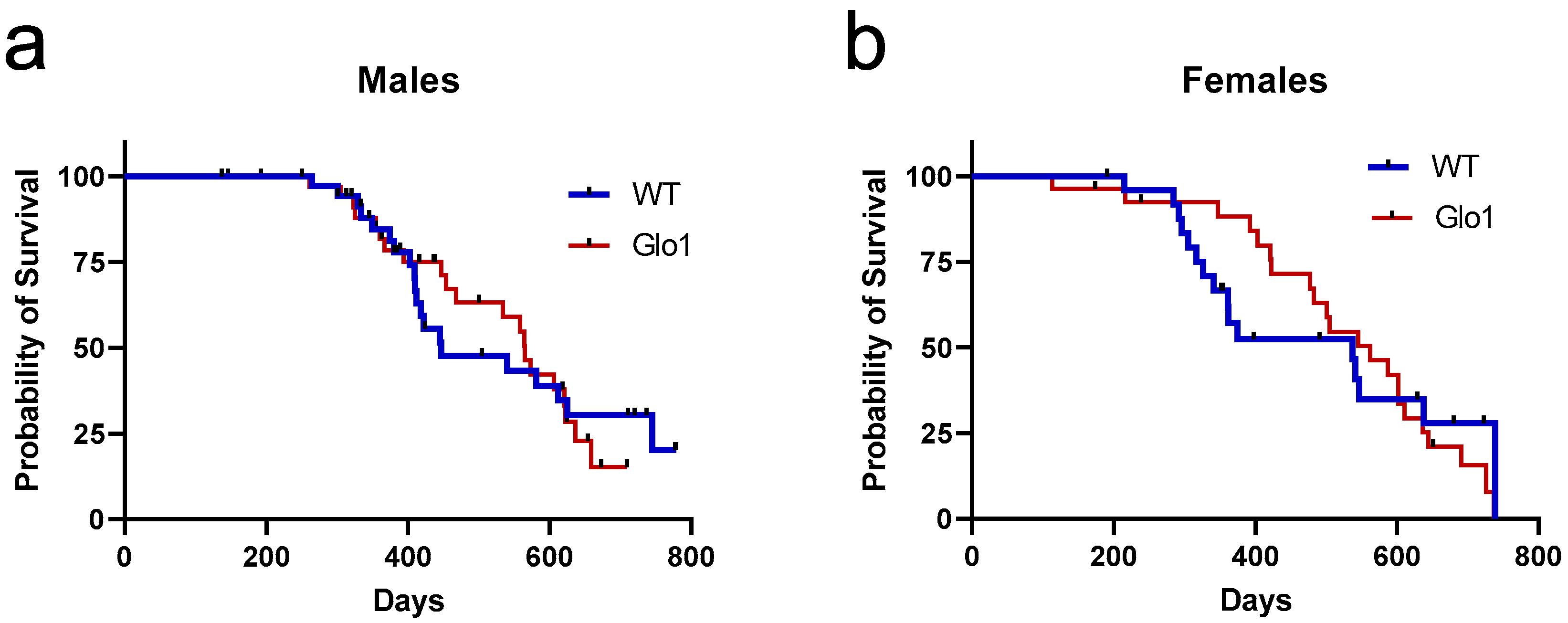 Antioxidants 14 00946 g003 Antioxidants 14 00946 g003