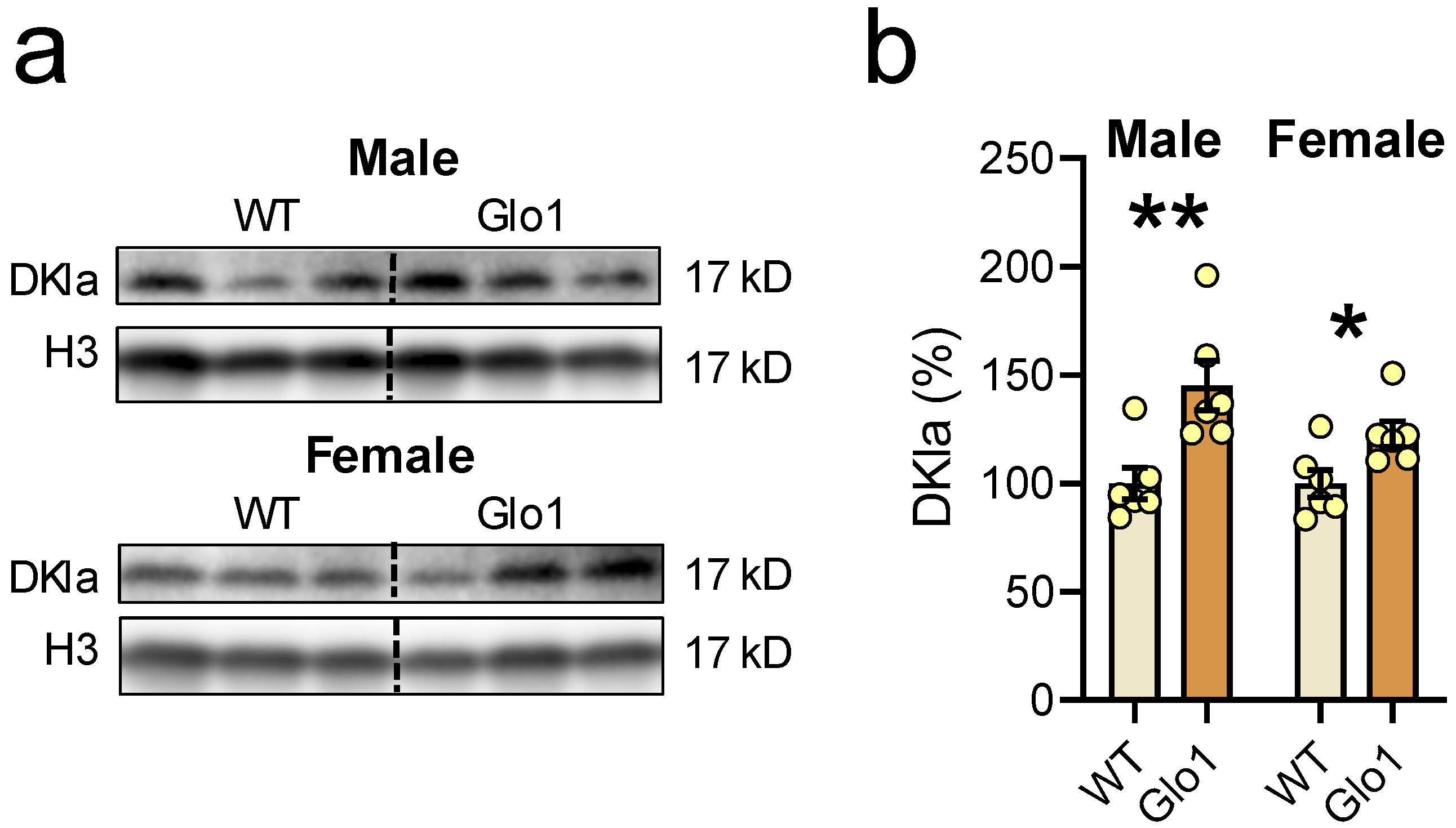 Antioxidants 14 00946 g008 Antioxidants 14 00946 g008