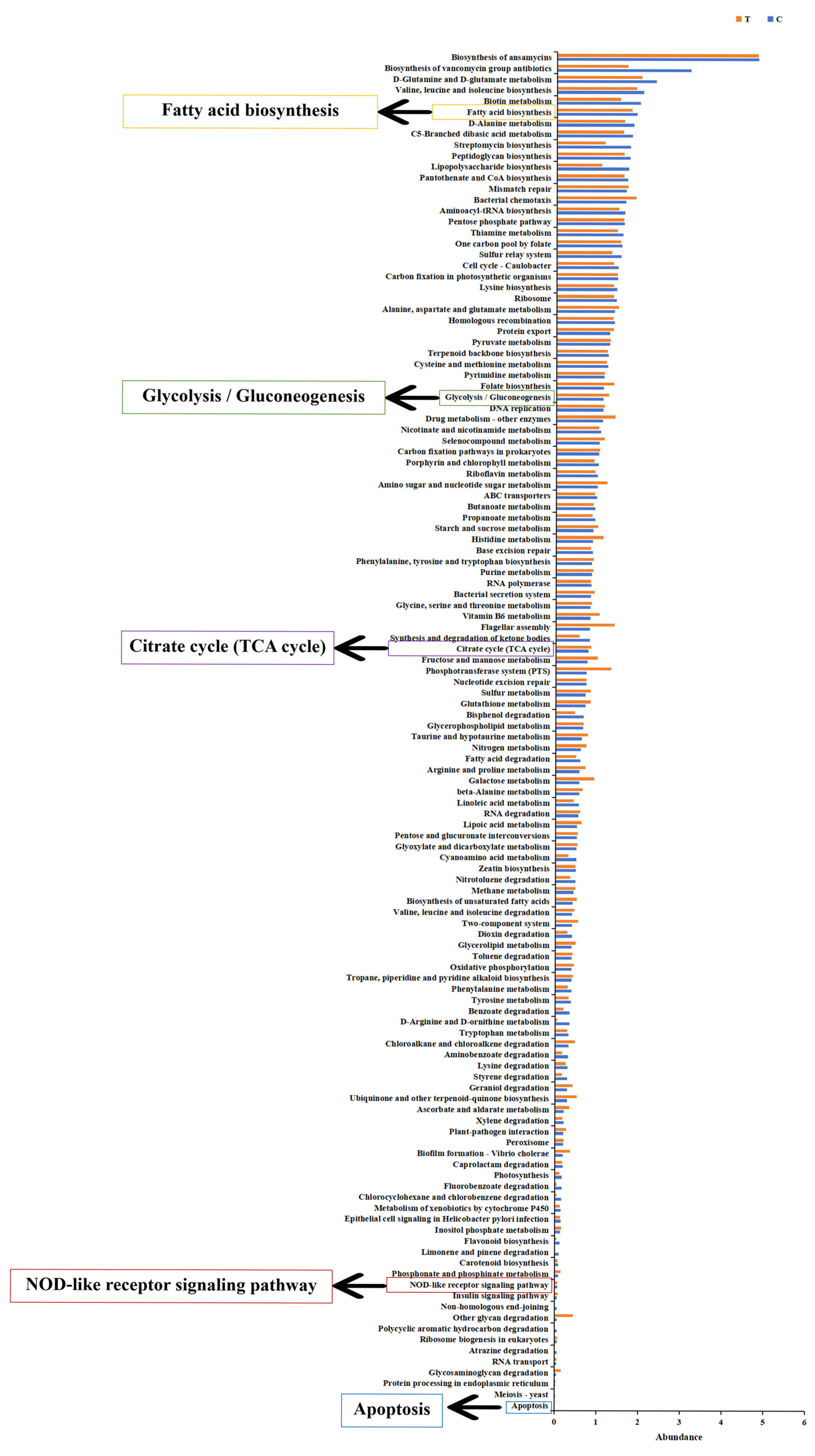 Antioxidants 14 00947 g010