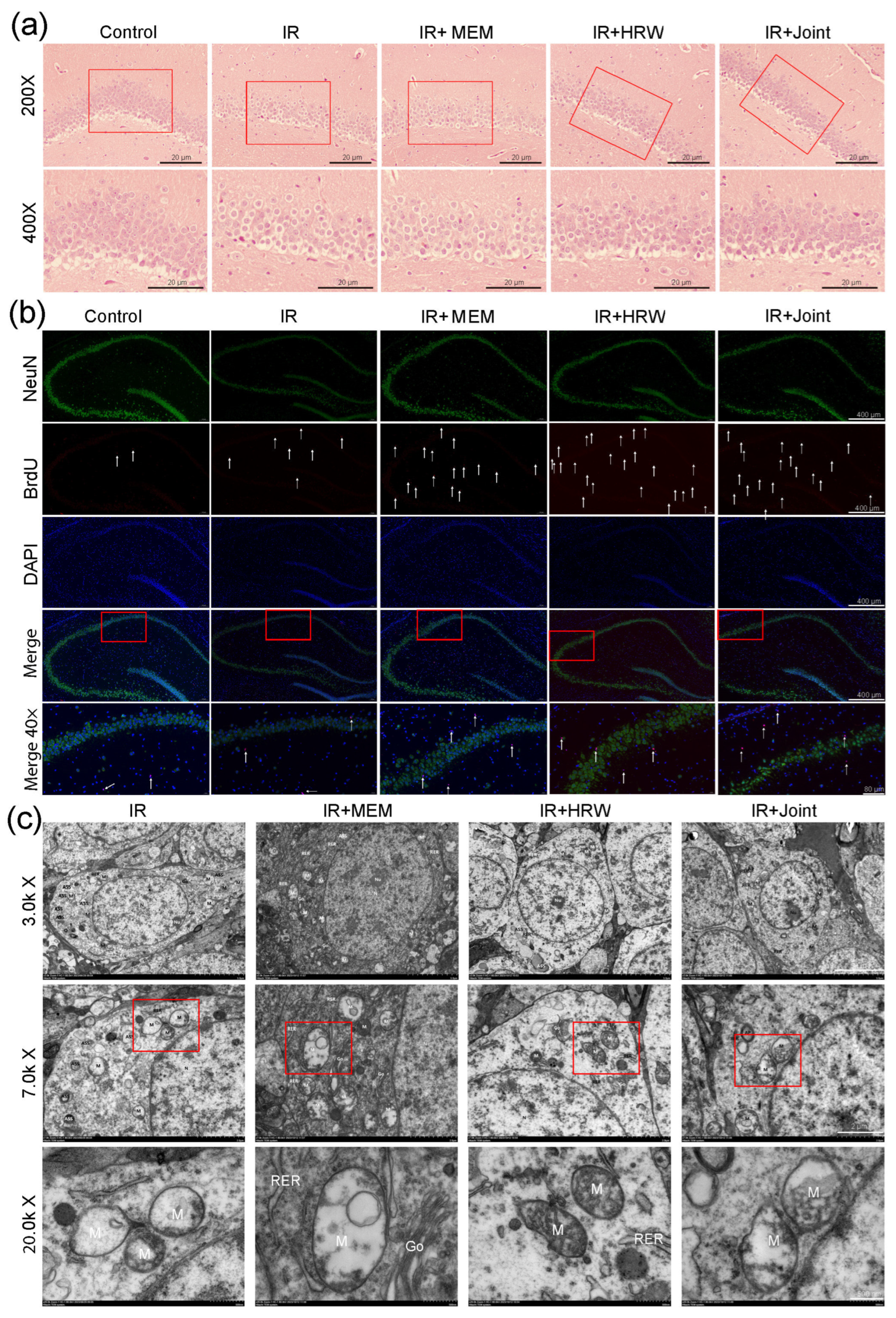 Antioxidants 14 00948 g003