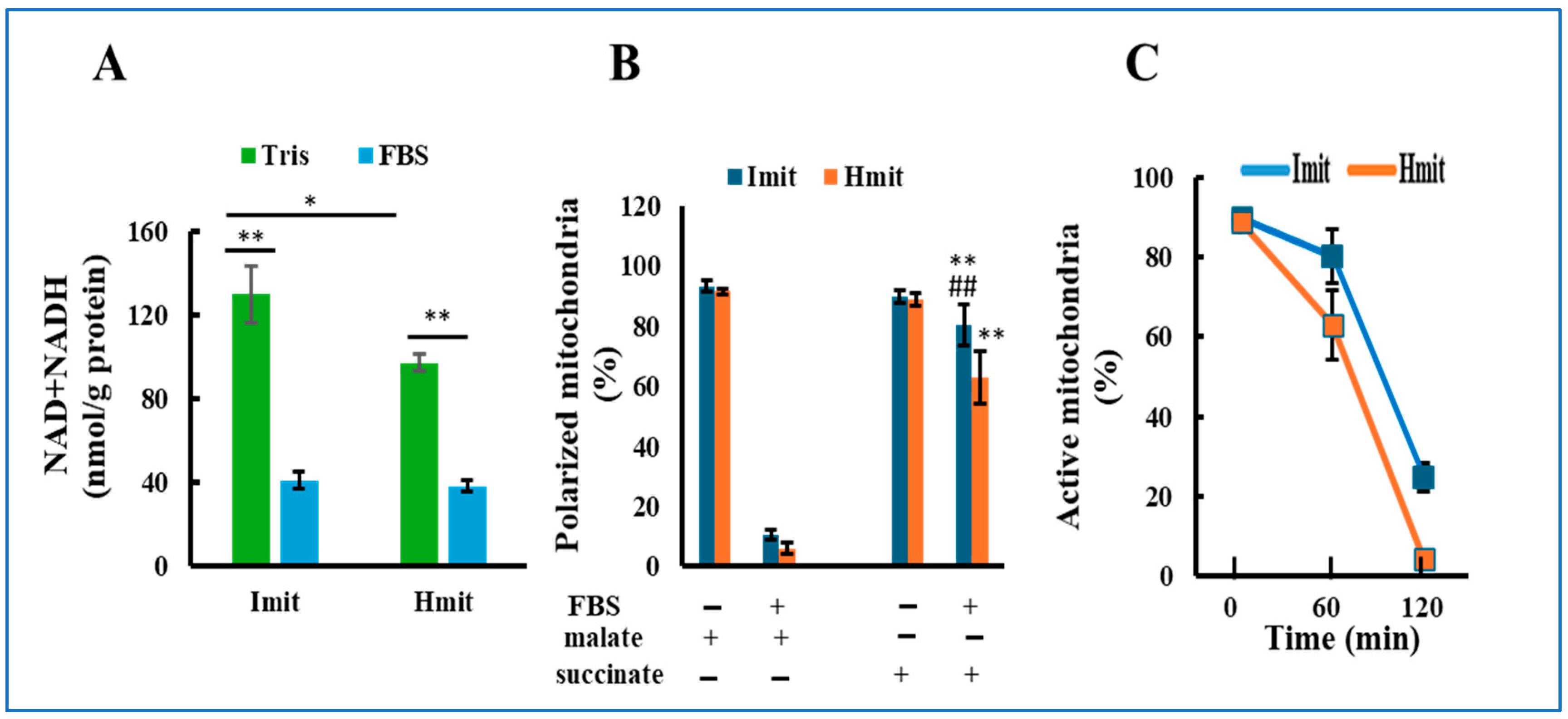 Antioxidants 14 00951 g002