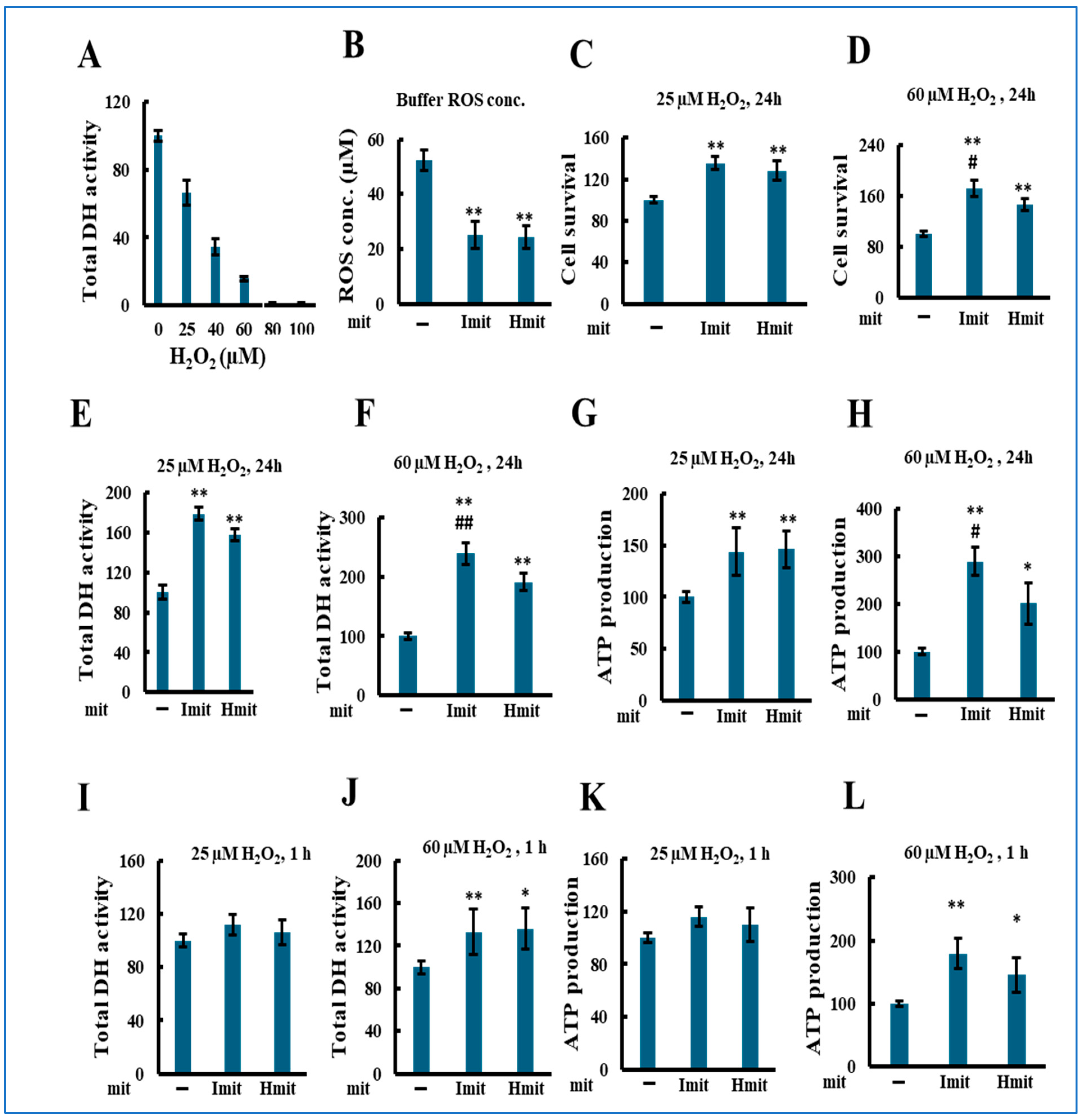Antioxidants 14 00951 g004