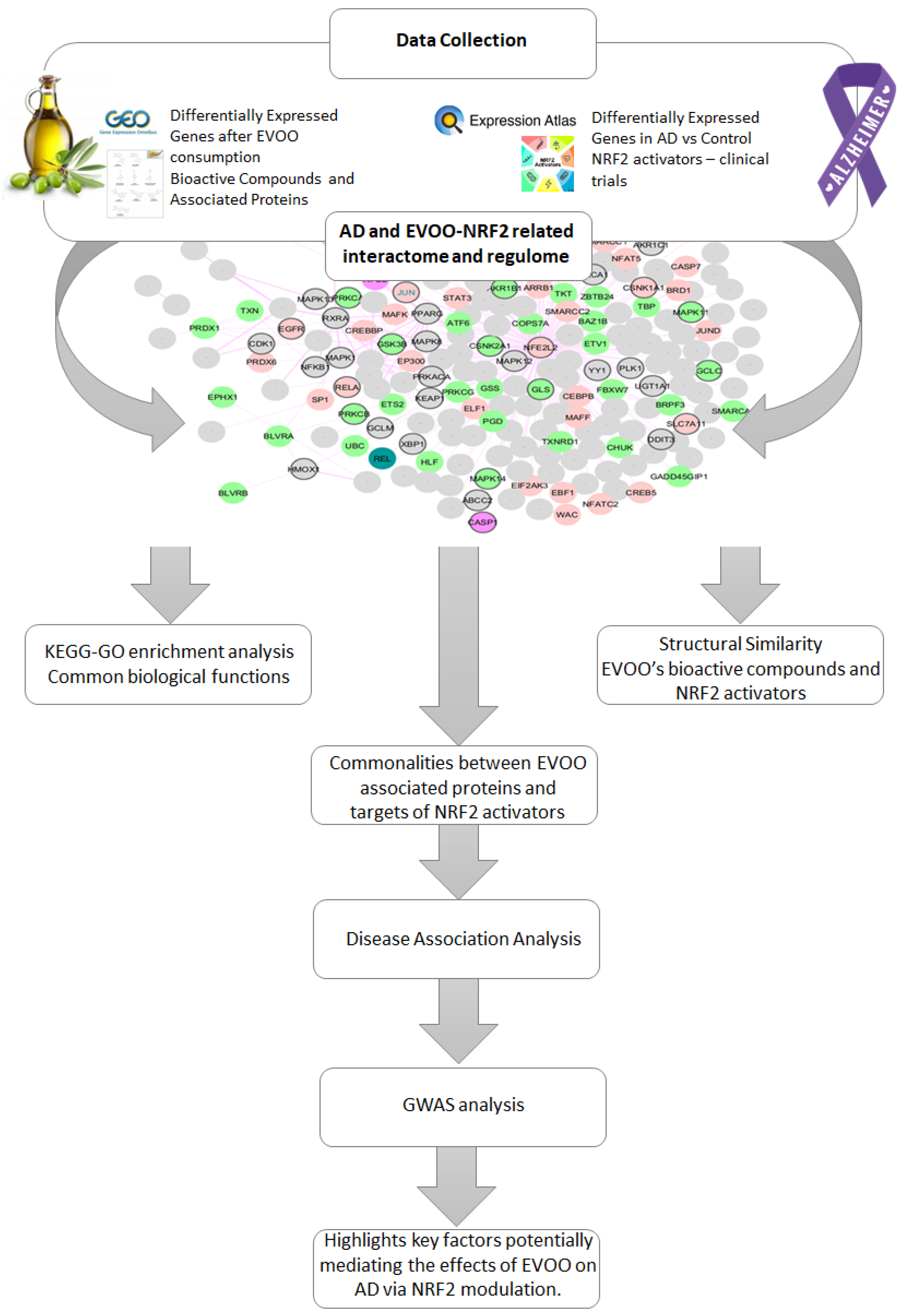 Antioxidants 14 00952 g001
