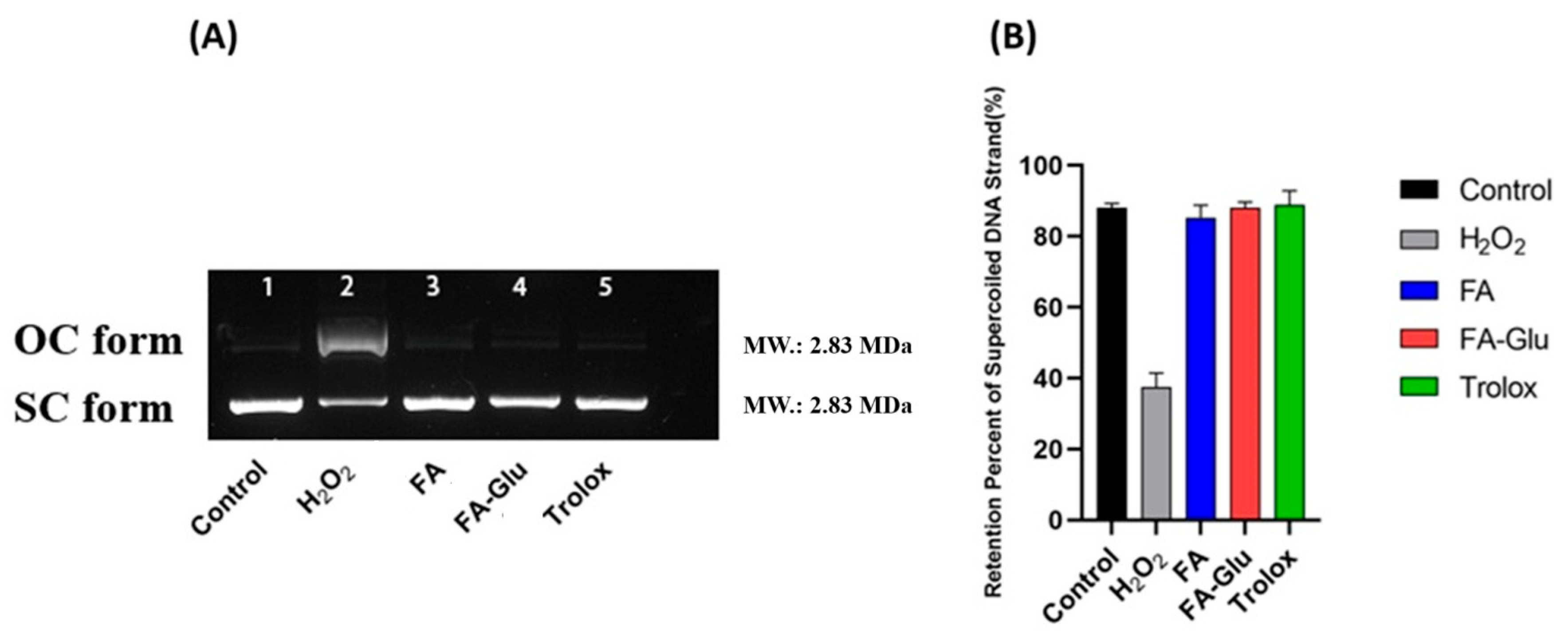 Antioxidants 14 00953 g002 Antioxidants 14 00953 g002