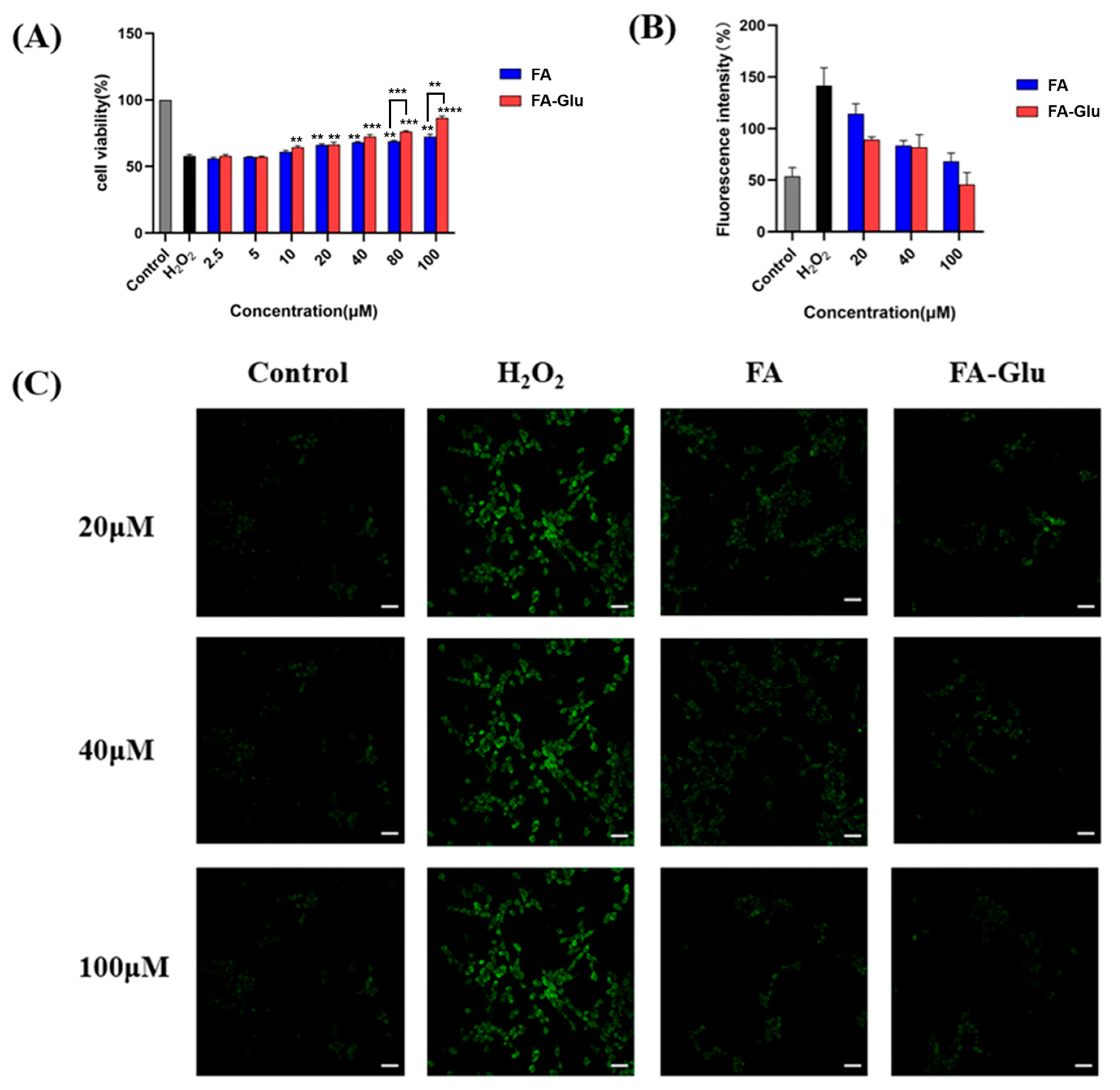 Antioxidants 14 00953 g004 Antioxidants 14 00953 g004