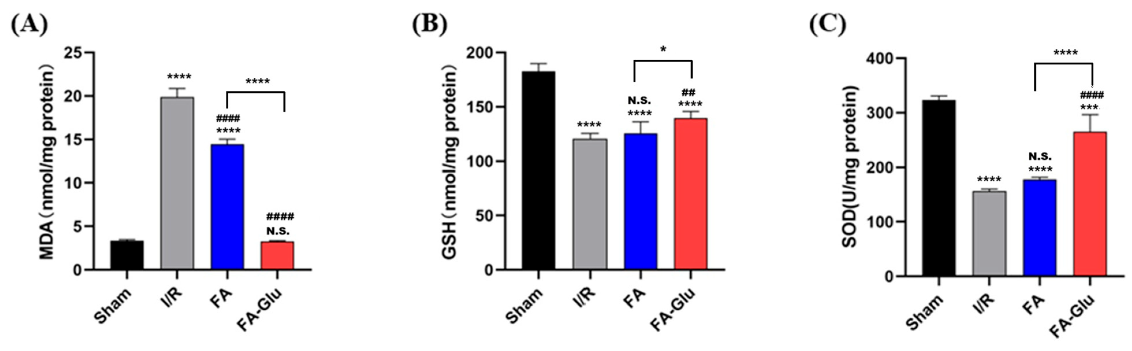 Antioxidants 14 00953 g006 Antioxidants 14 00953 g006