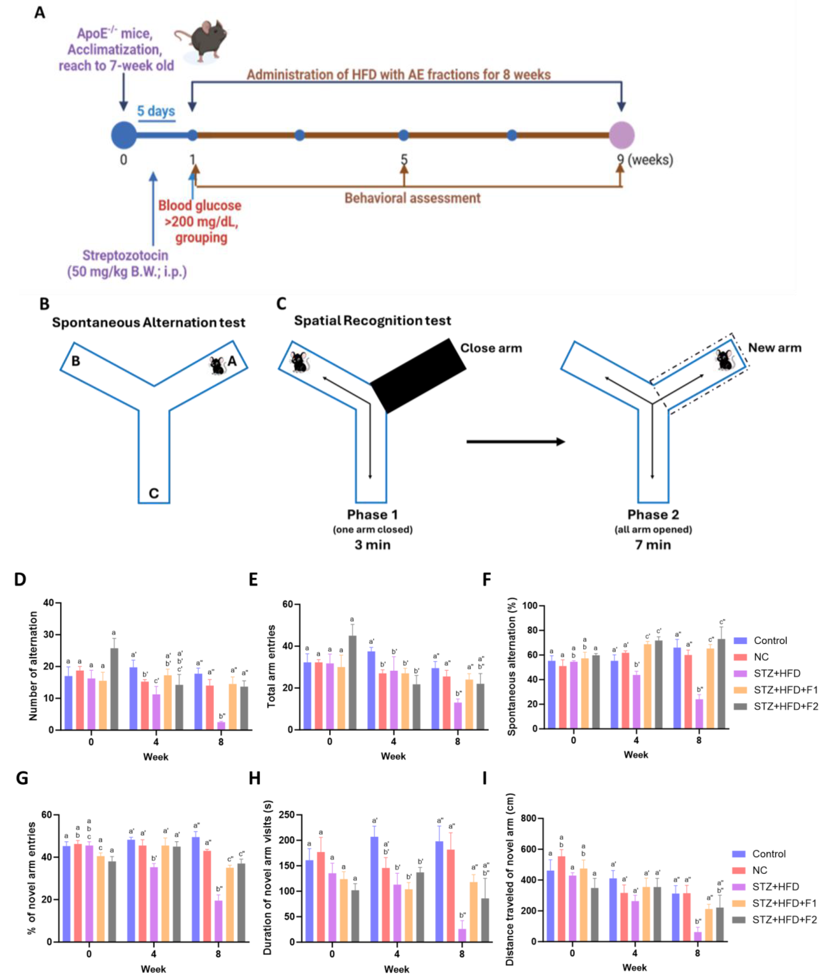Antioxidants 14 00955 g001