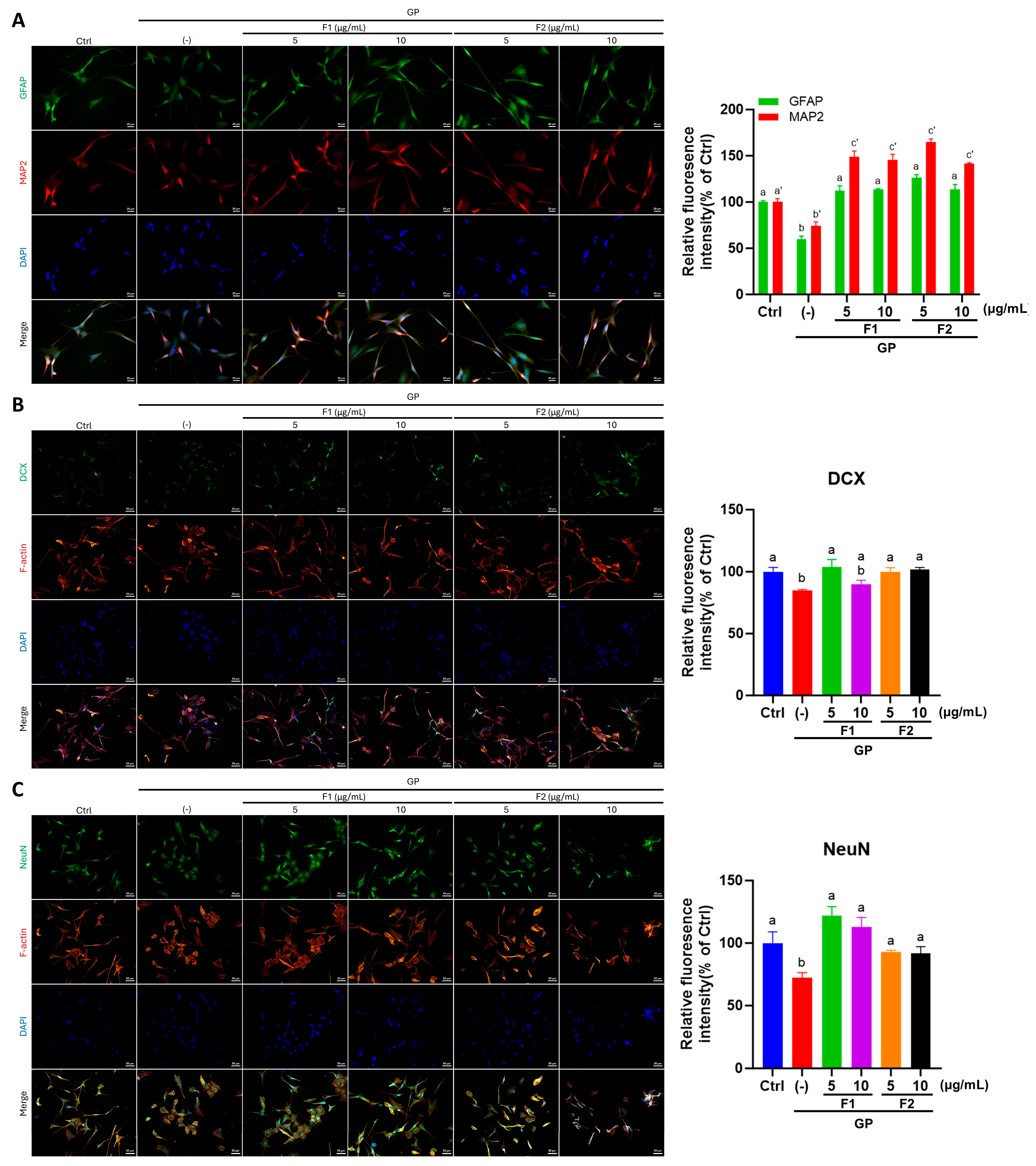 Antioxidants 14 00955 g006