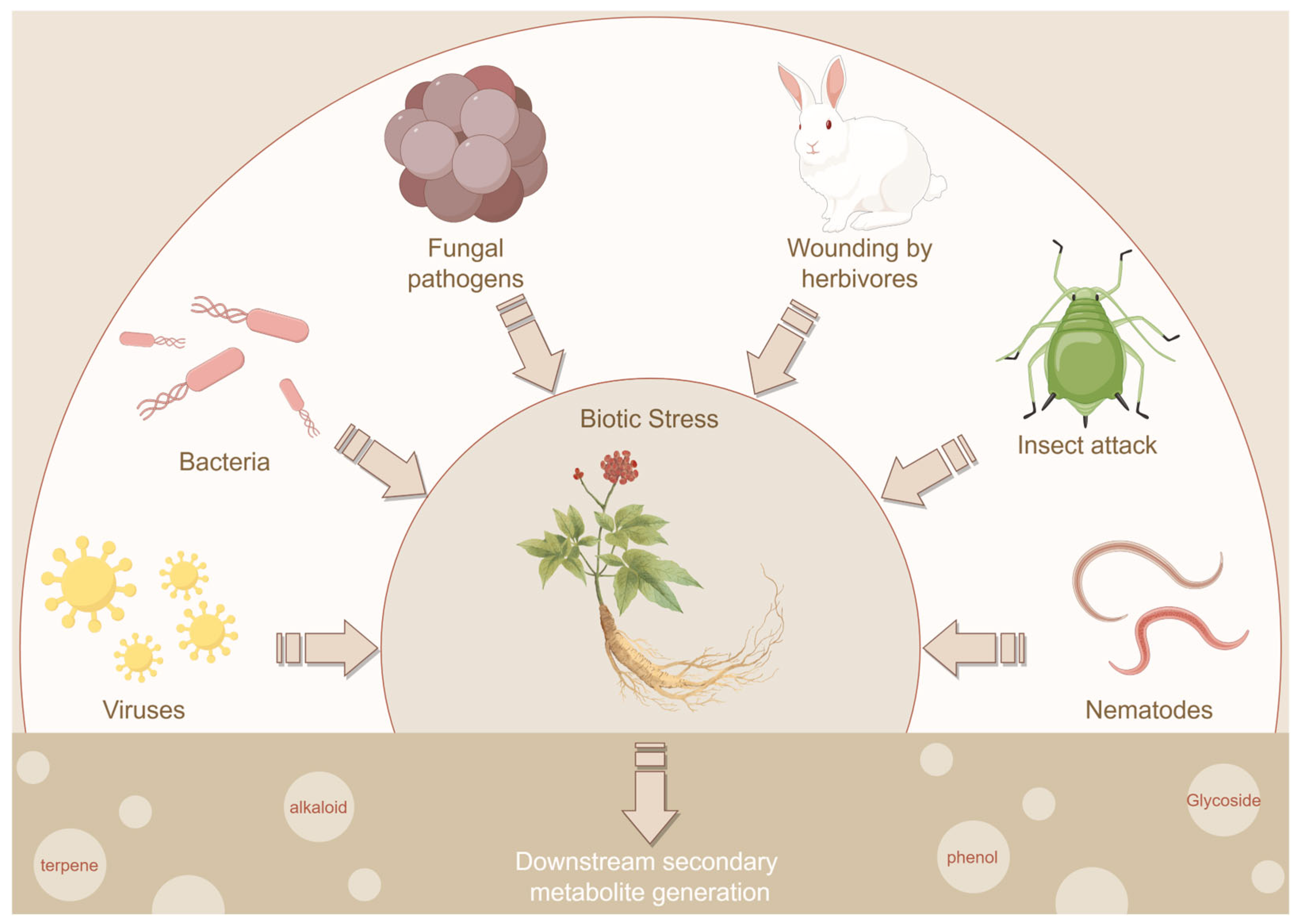 Antioxidants 14 00961 g004