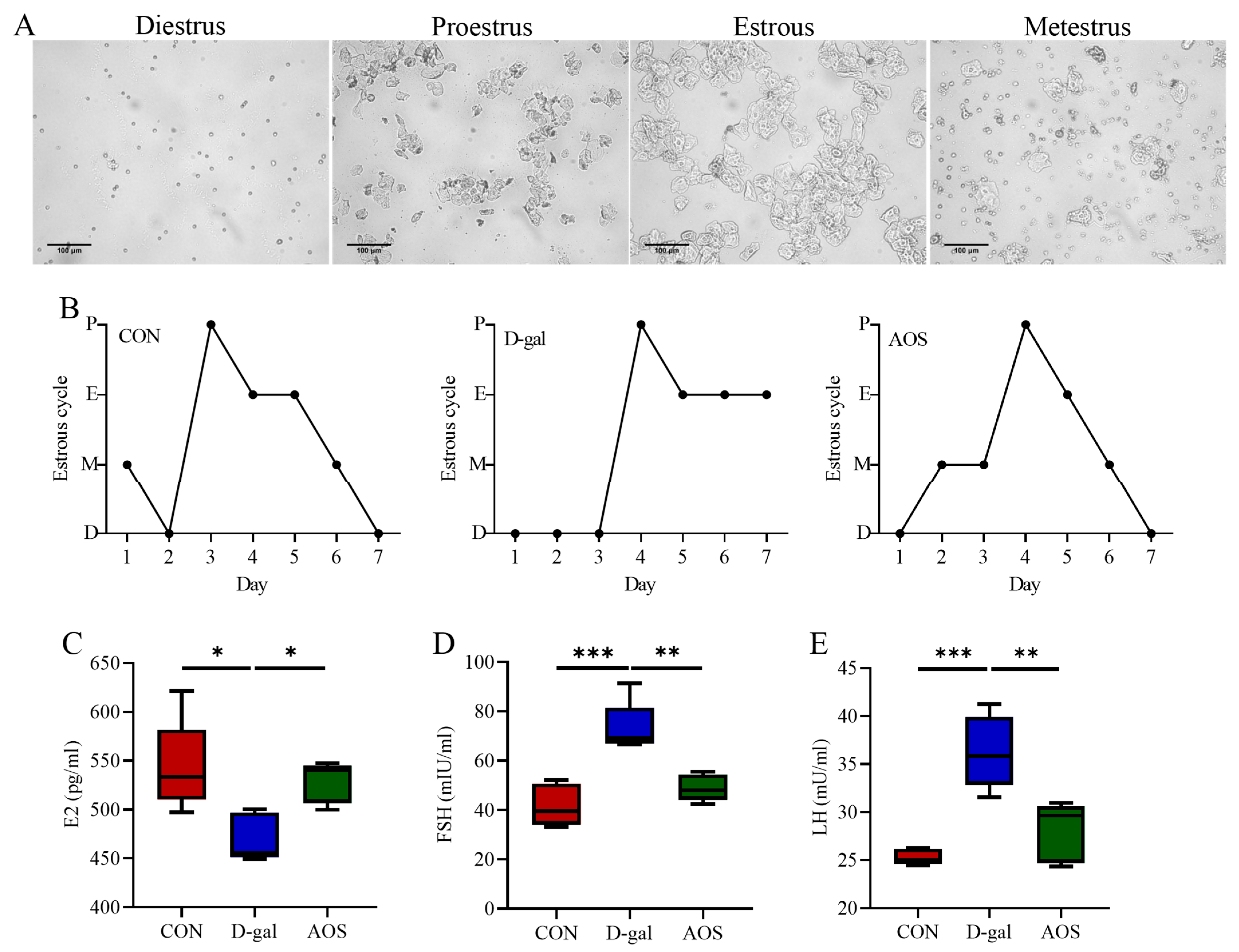 Antioxidants 14 00962 g002
