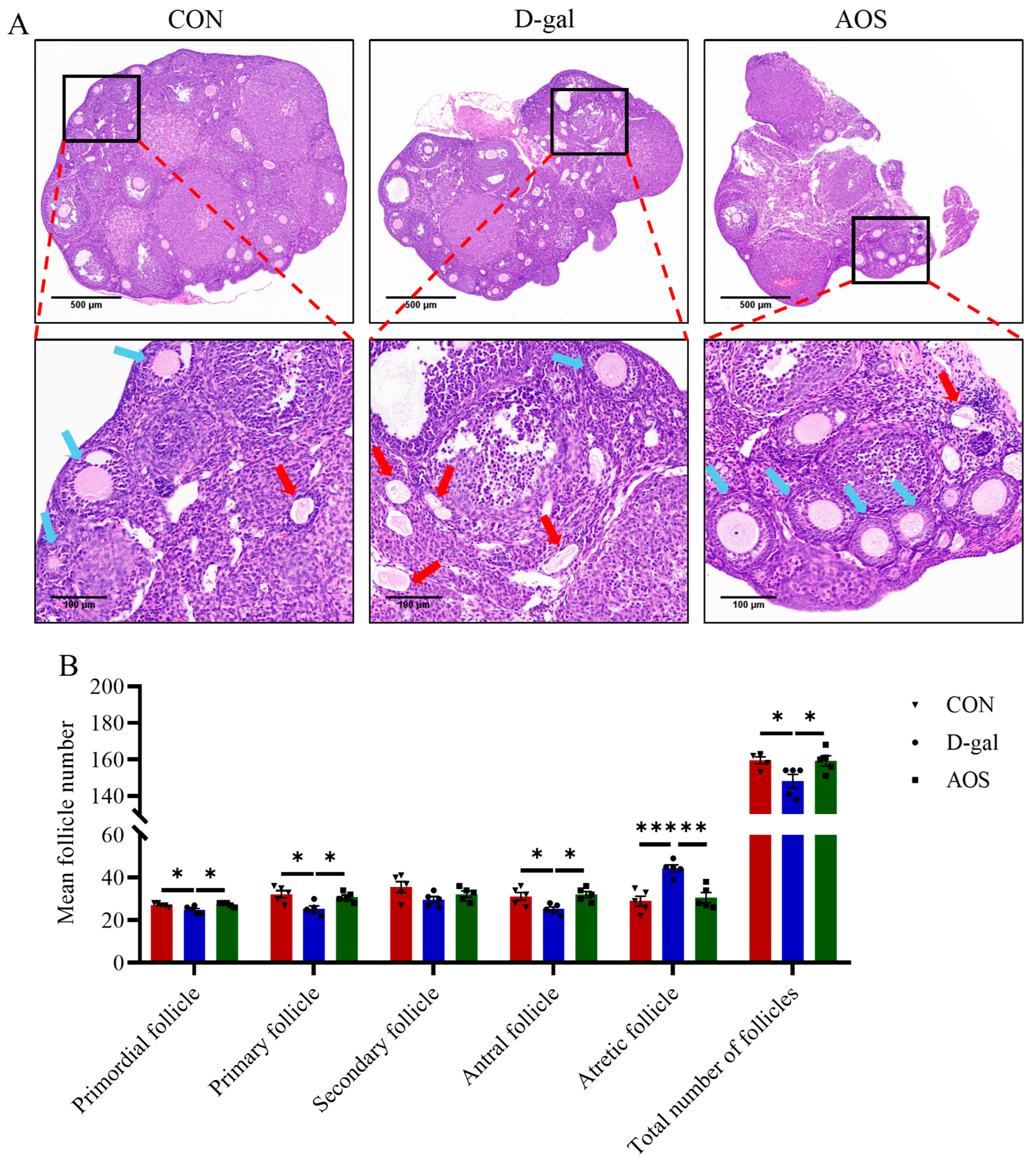 Antioxidants 14 00962 g003