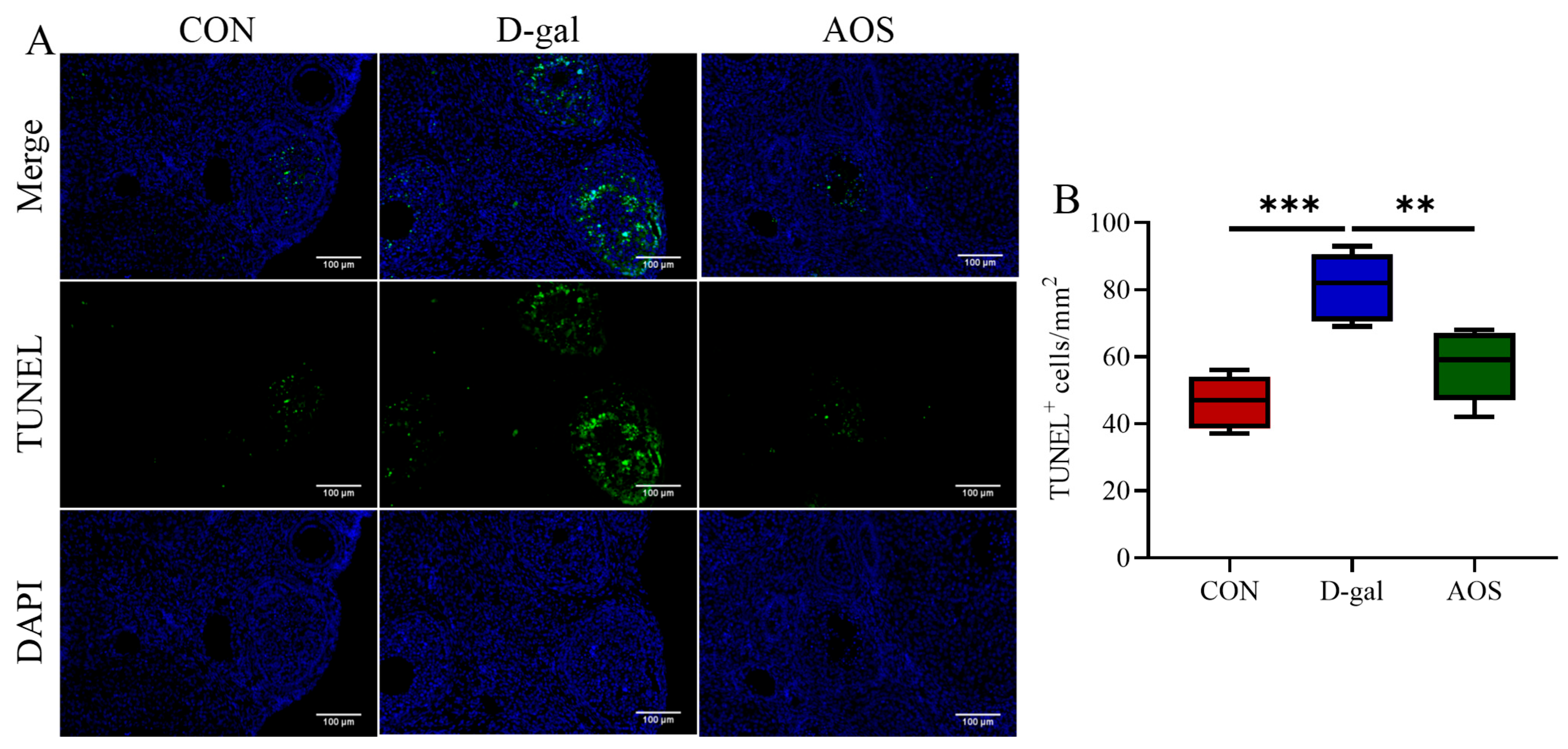 Antioxidants 14 00962 g005