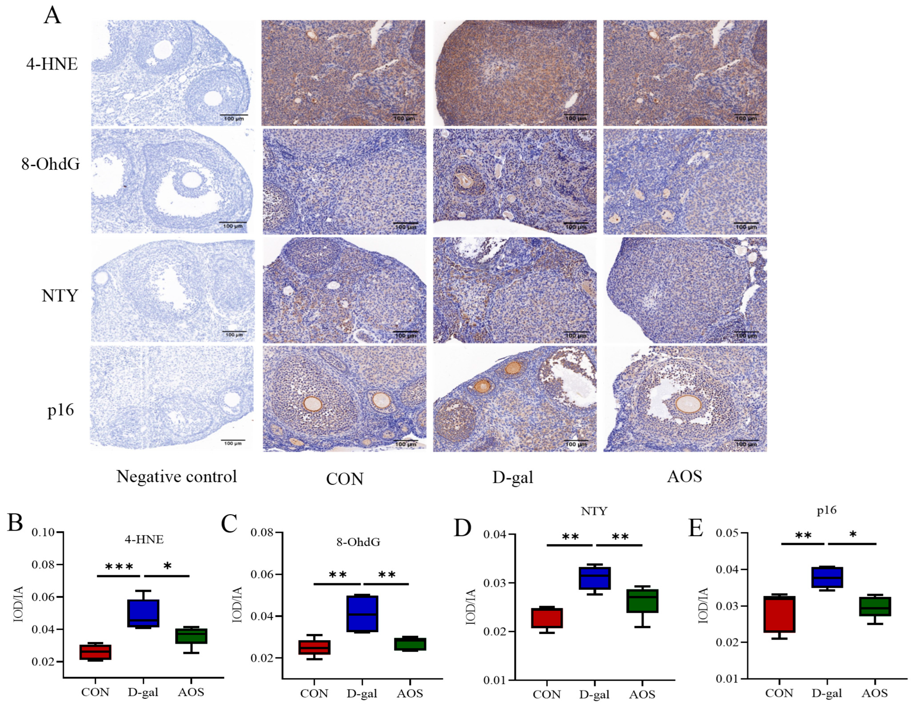 Antioxidants 14 00962 g006