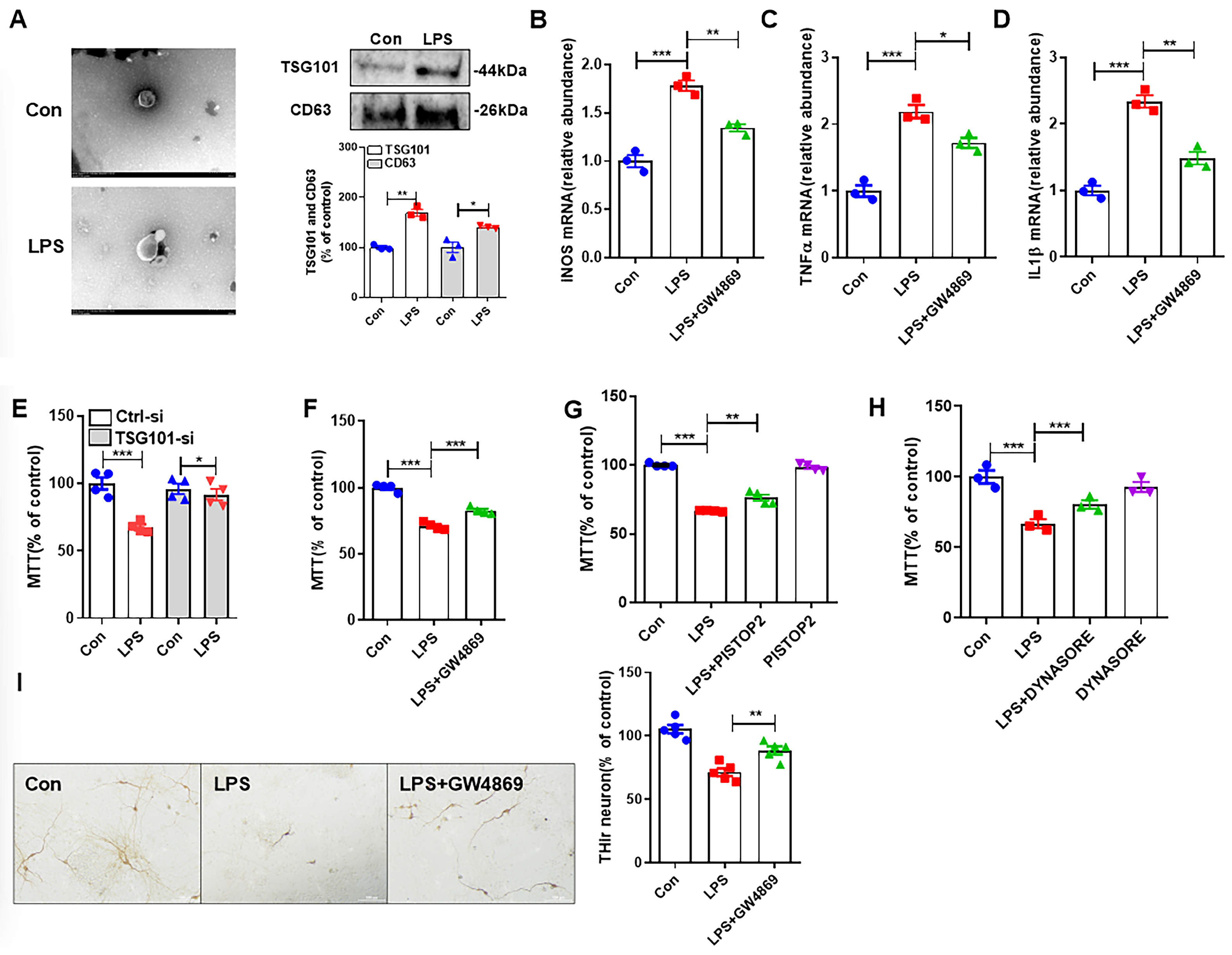 Antioxidants 14 00963 g001