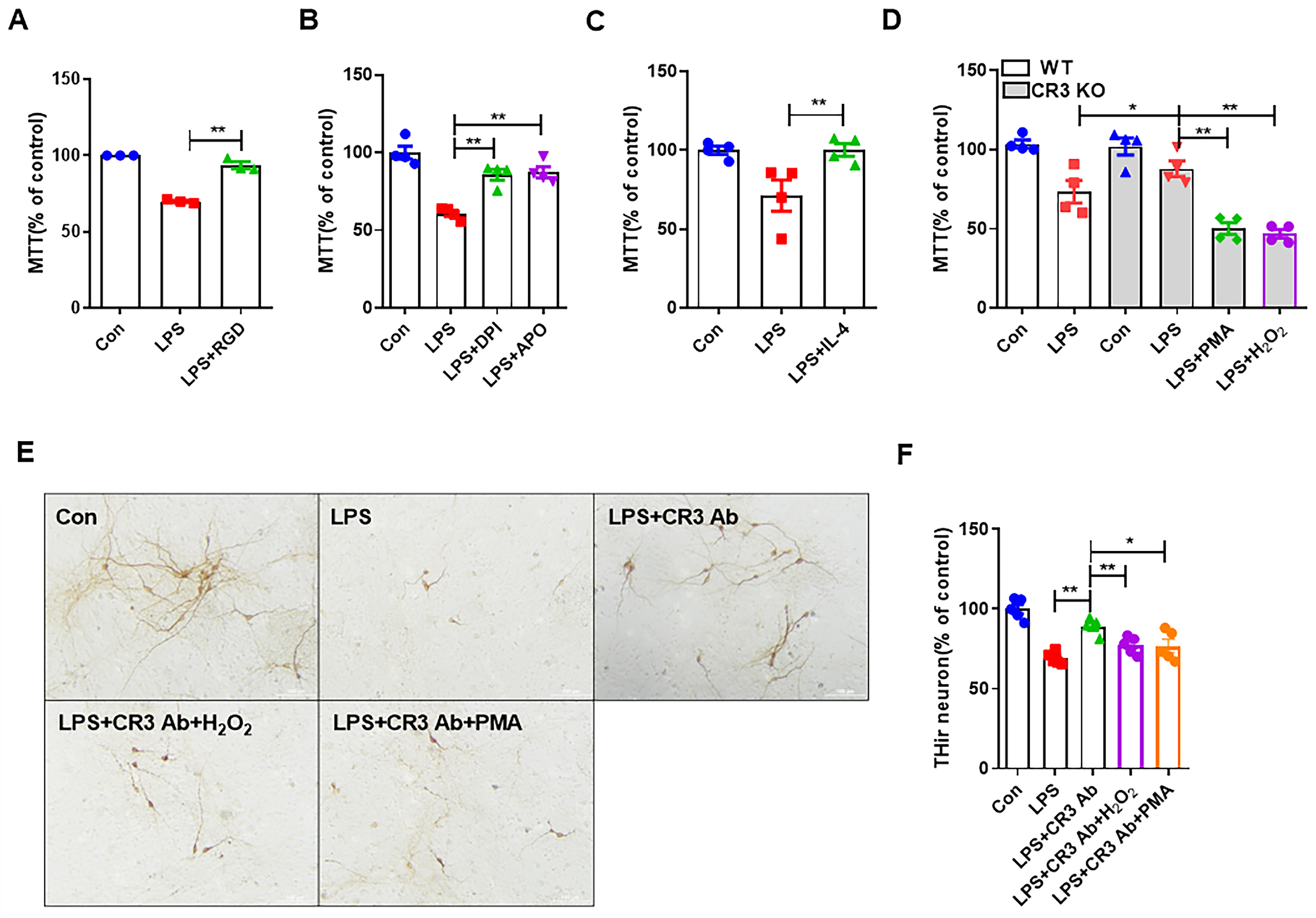 Antioxidants 14 00963 g005