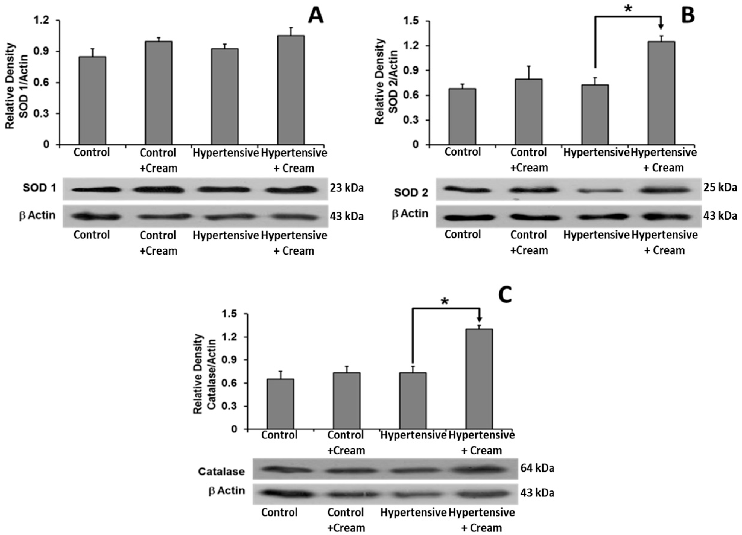 Antioxidants 14 00966 g006 Antioxidants 14 00966 g006
