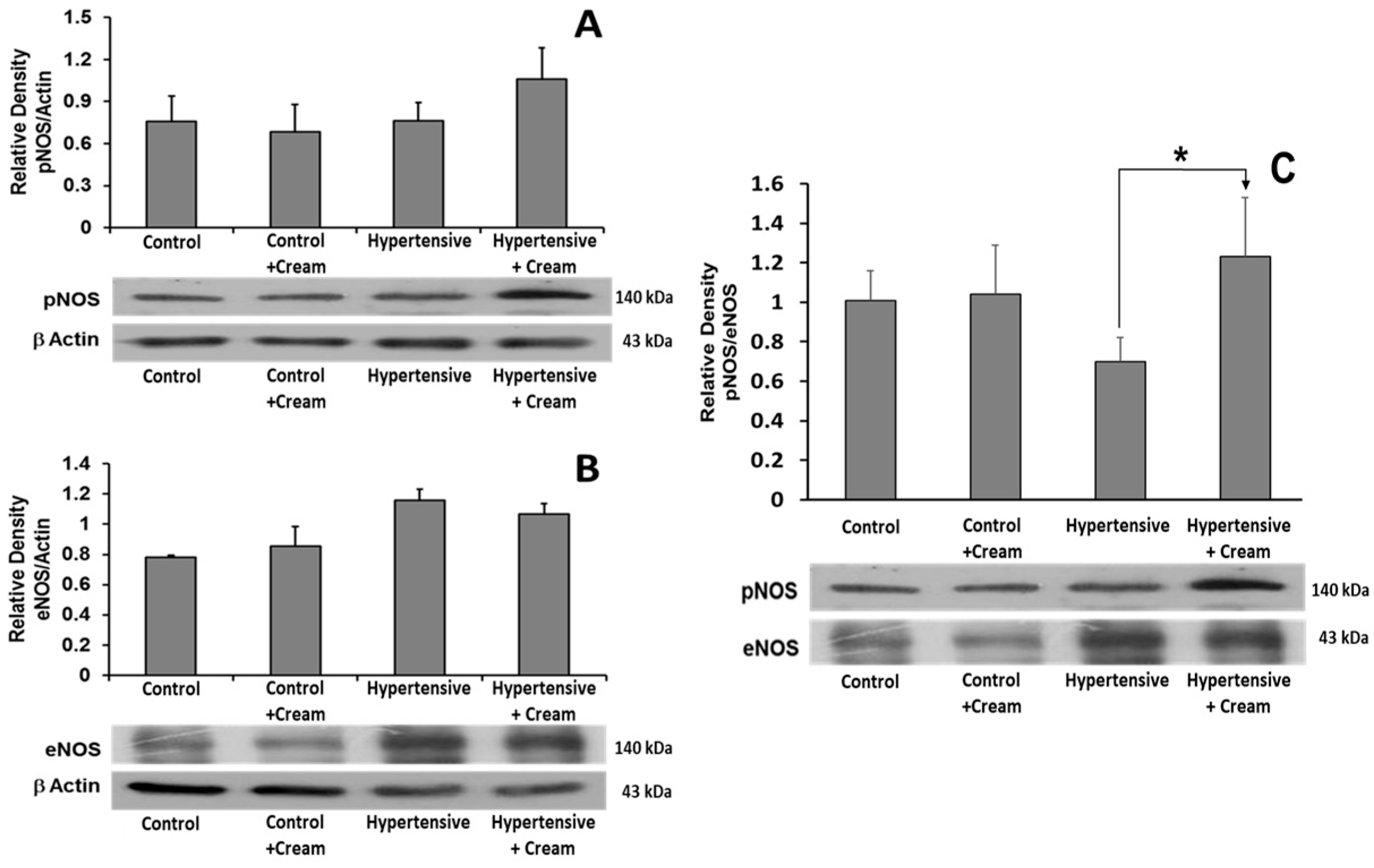 Antioxidants 14 00966 g007 Antioxidants 14 00966 g007