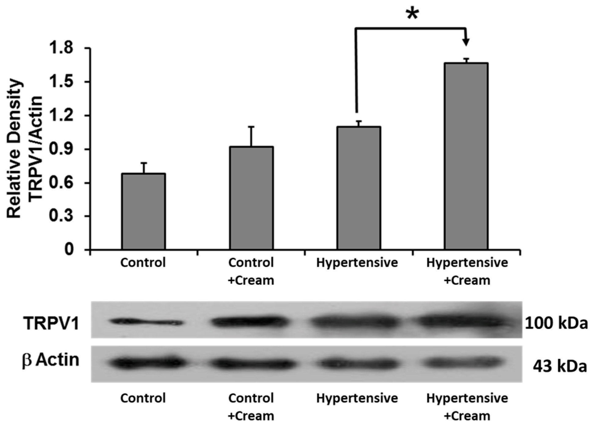 Antioxidants 14 00966 g008 Antioxidants 14 00966 g008