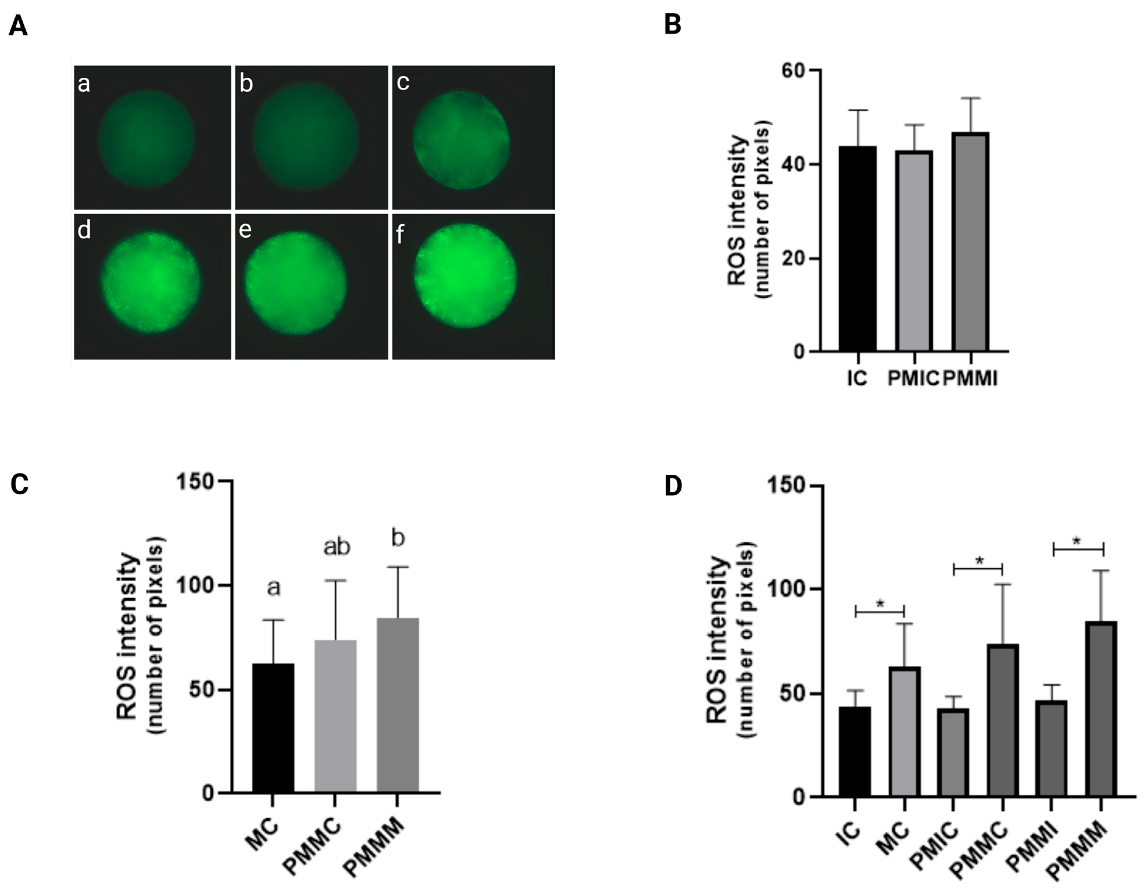 Antioxidants 14 00969 g001
