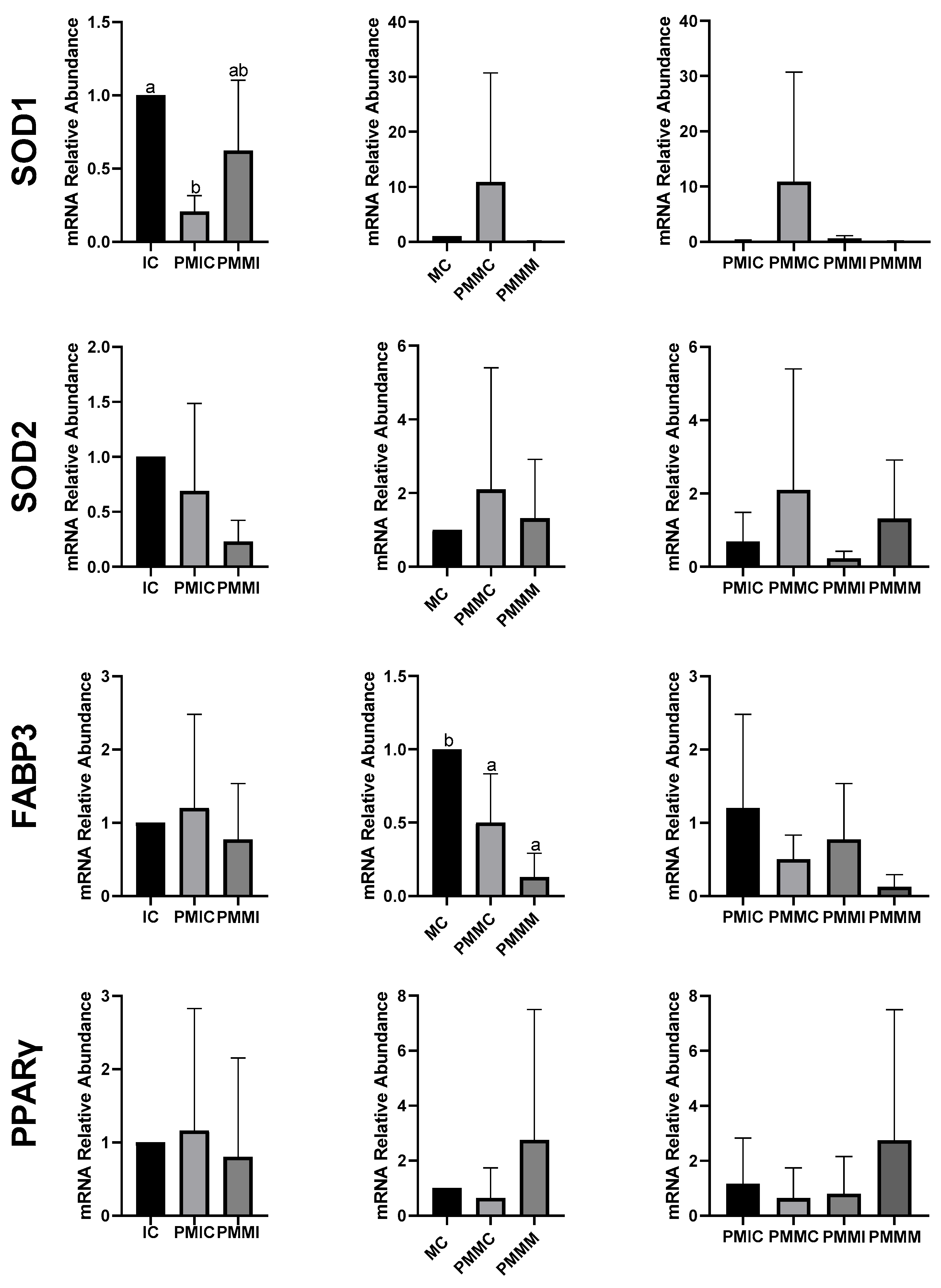 Antioxidants 14 00969 g004